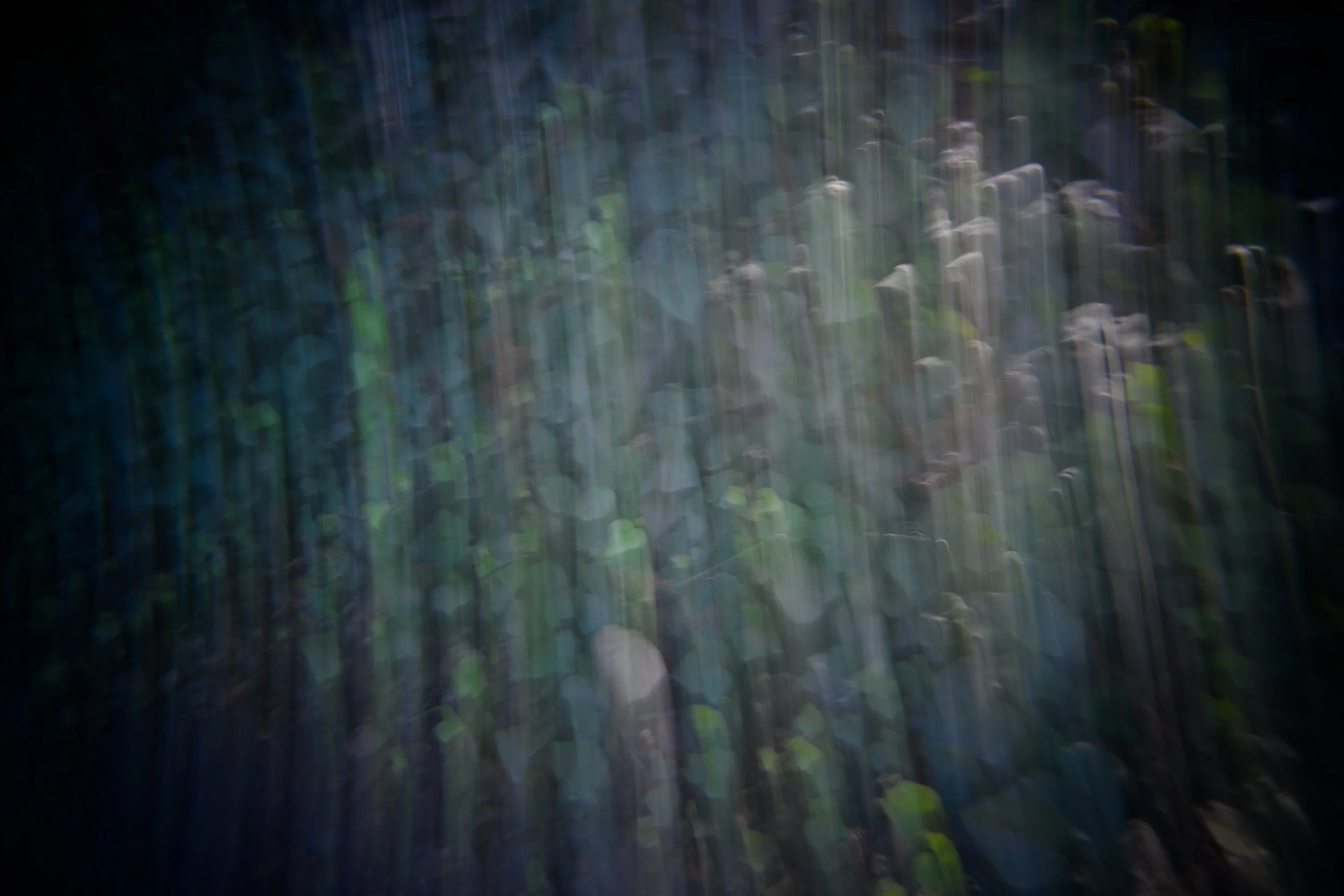 Peterson_Scott_-6111 - Scott Peterson.jpg