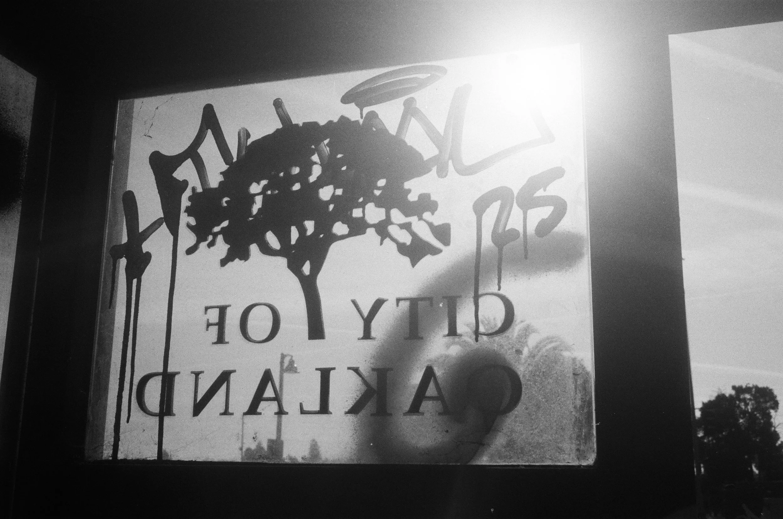 000435160025a - David Bayless.jpg