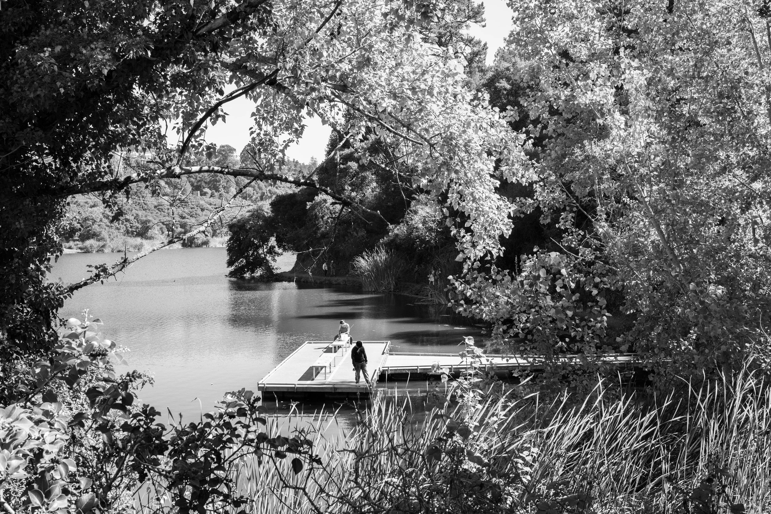 L1002093 - Marc Andreoli.jpg