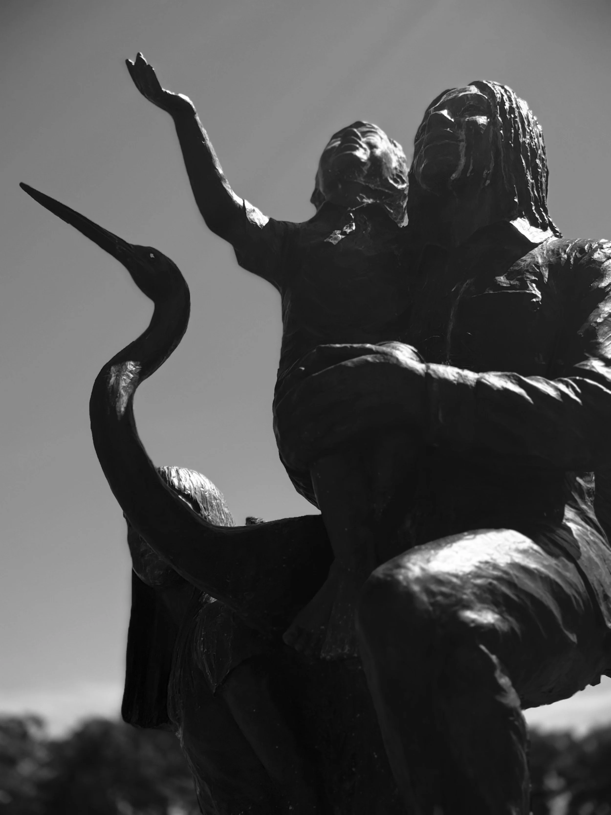 IMG_5254 - david bayless.jpeg