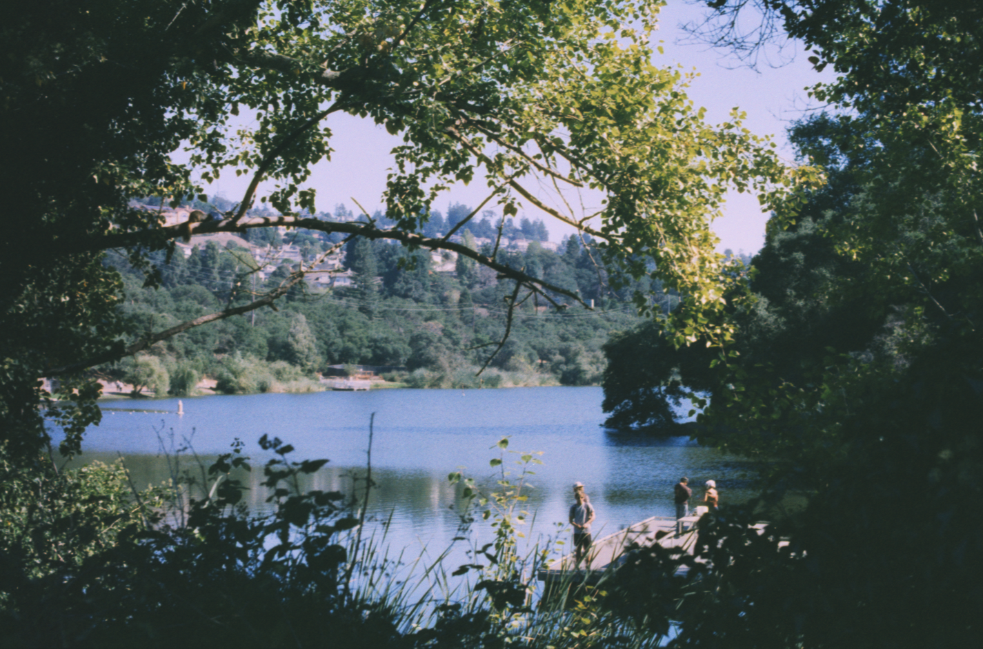 Screenshot_2 - lolaway(2).png