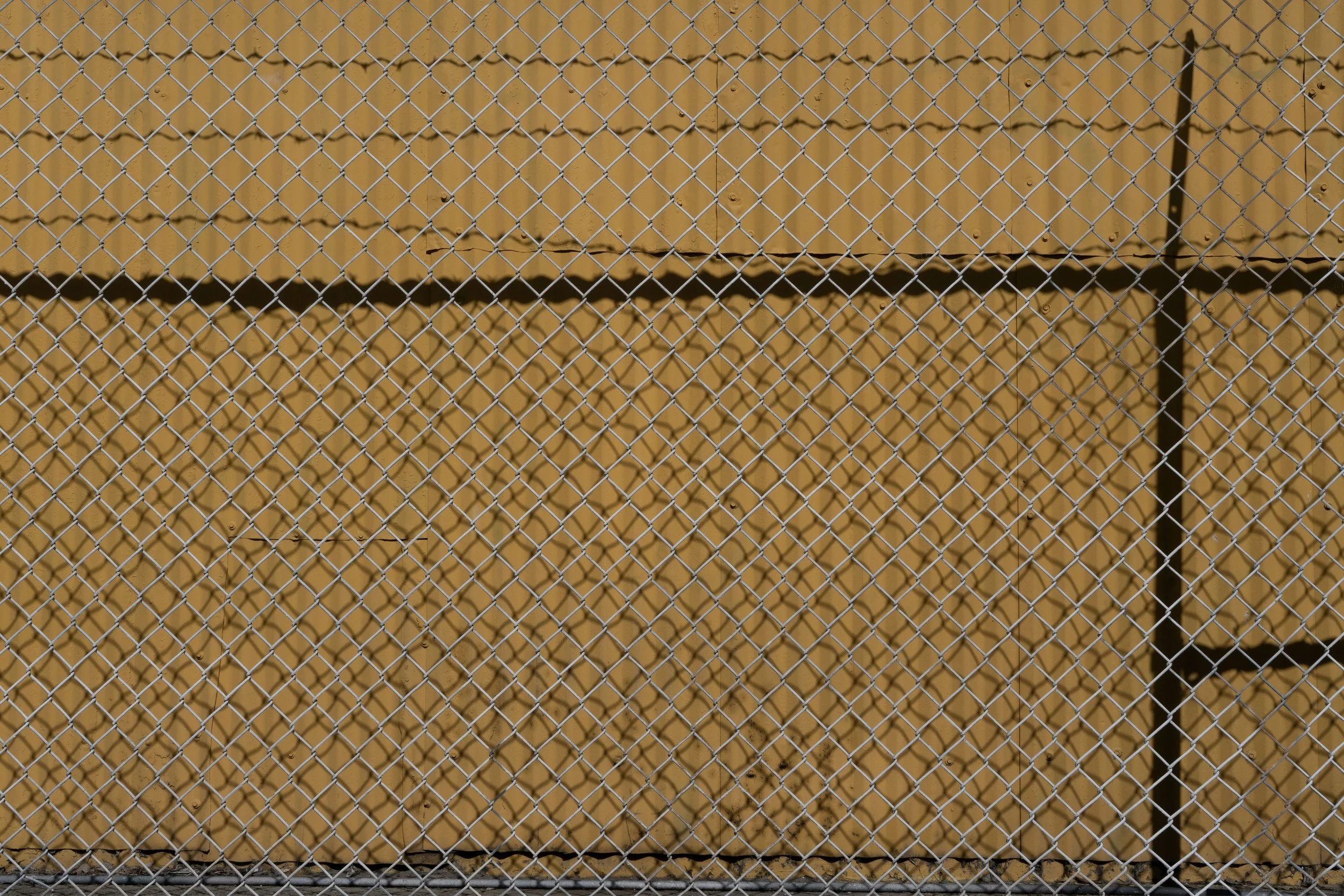 meshadow - James Breeden.jpg