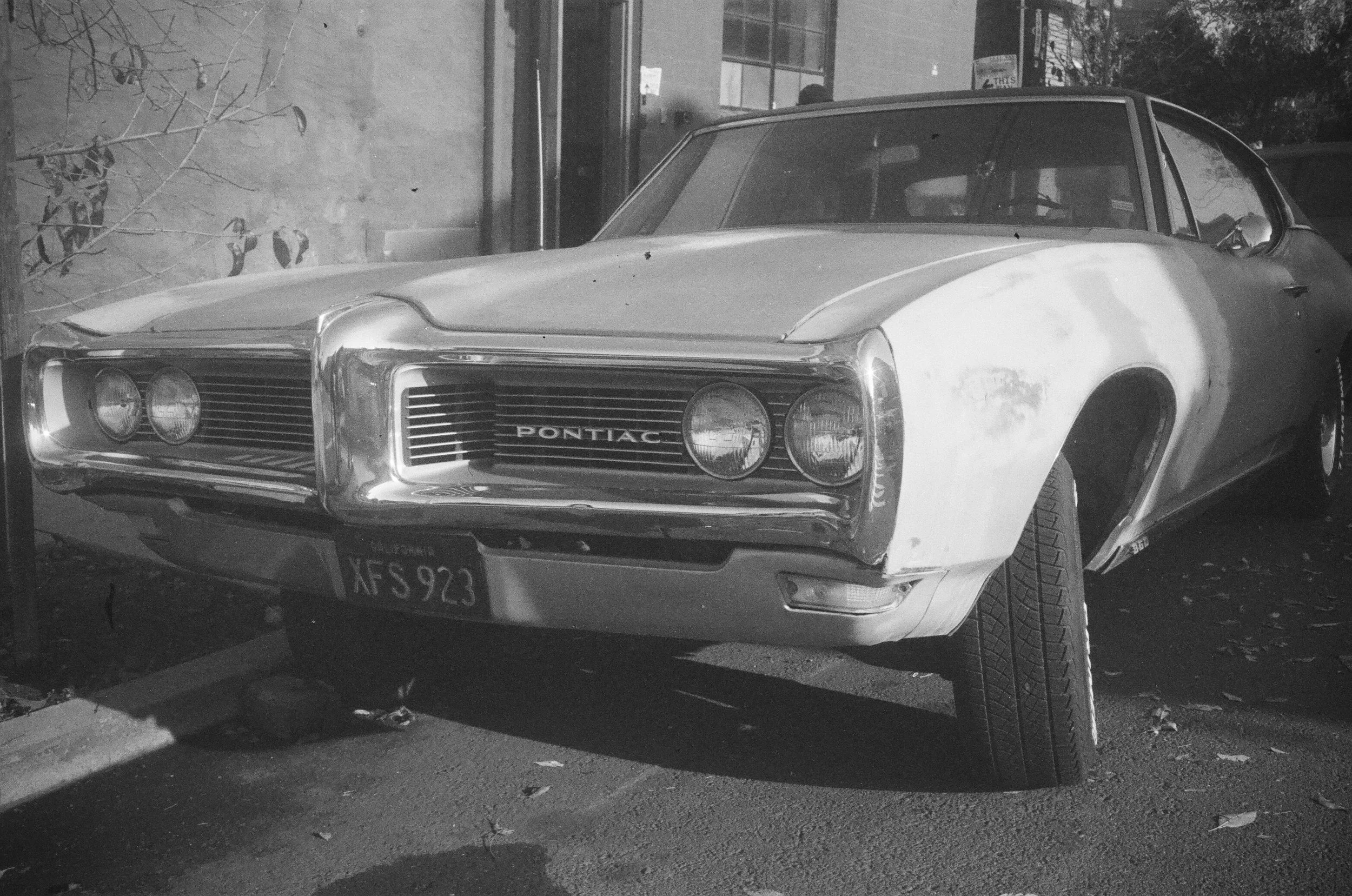 000435160028a - David Bayless.jpg