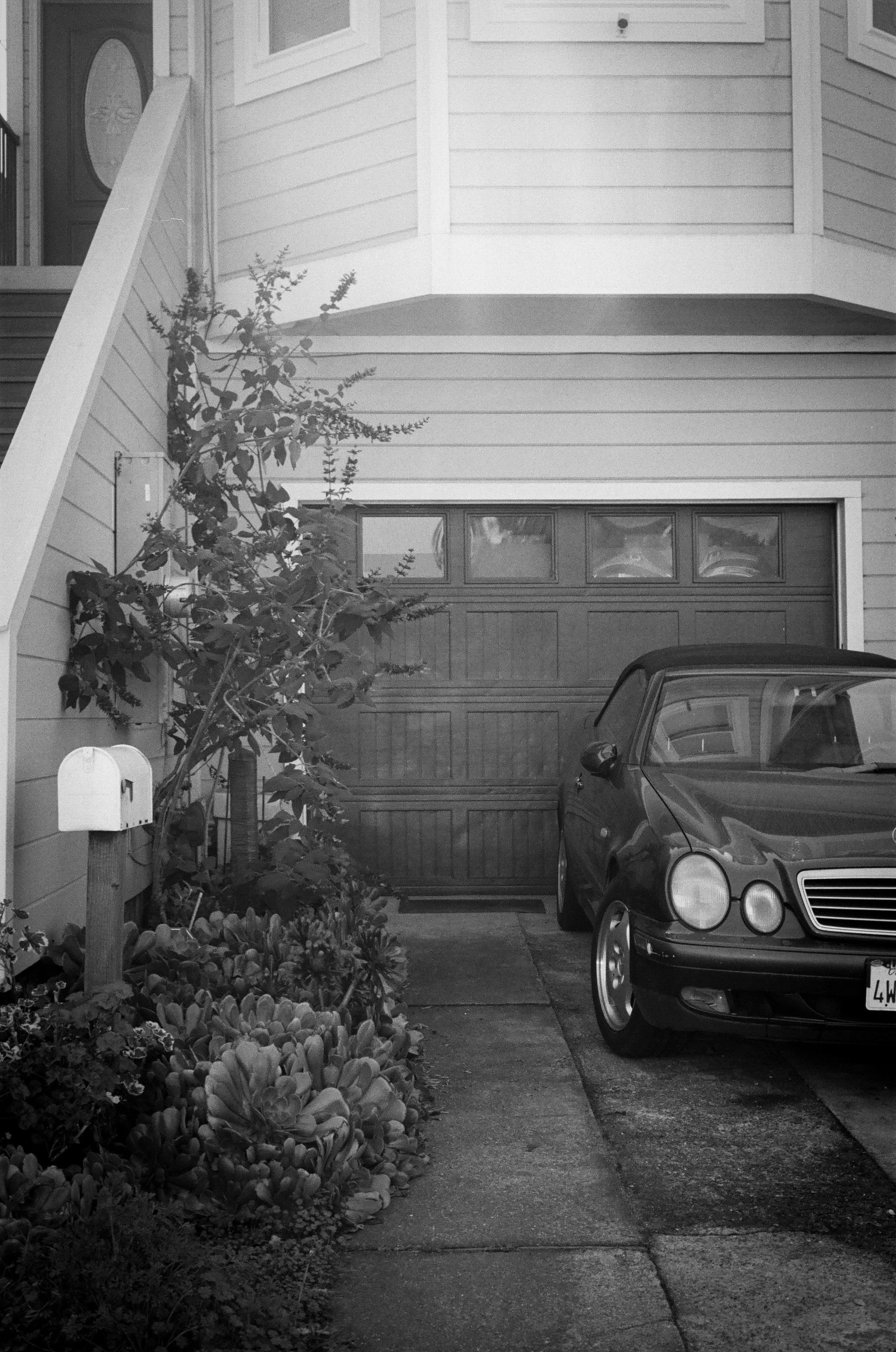 000071660003 - Kathleen Nay.jpeg