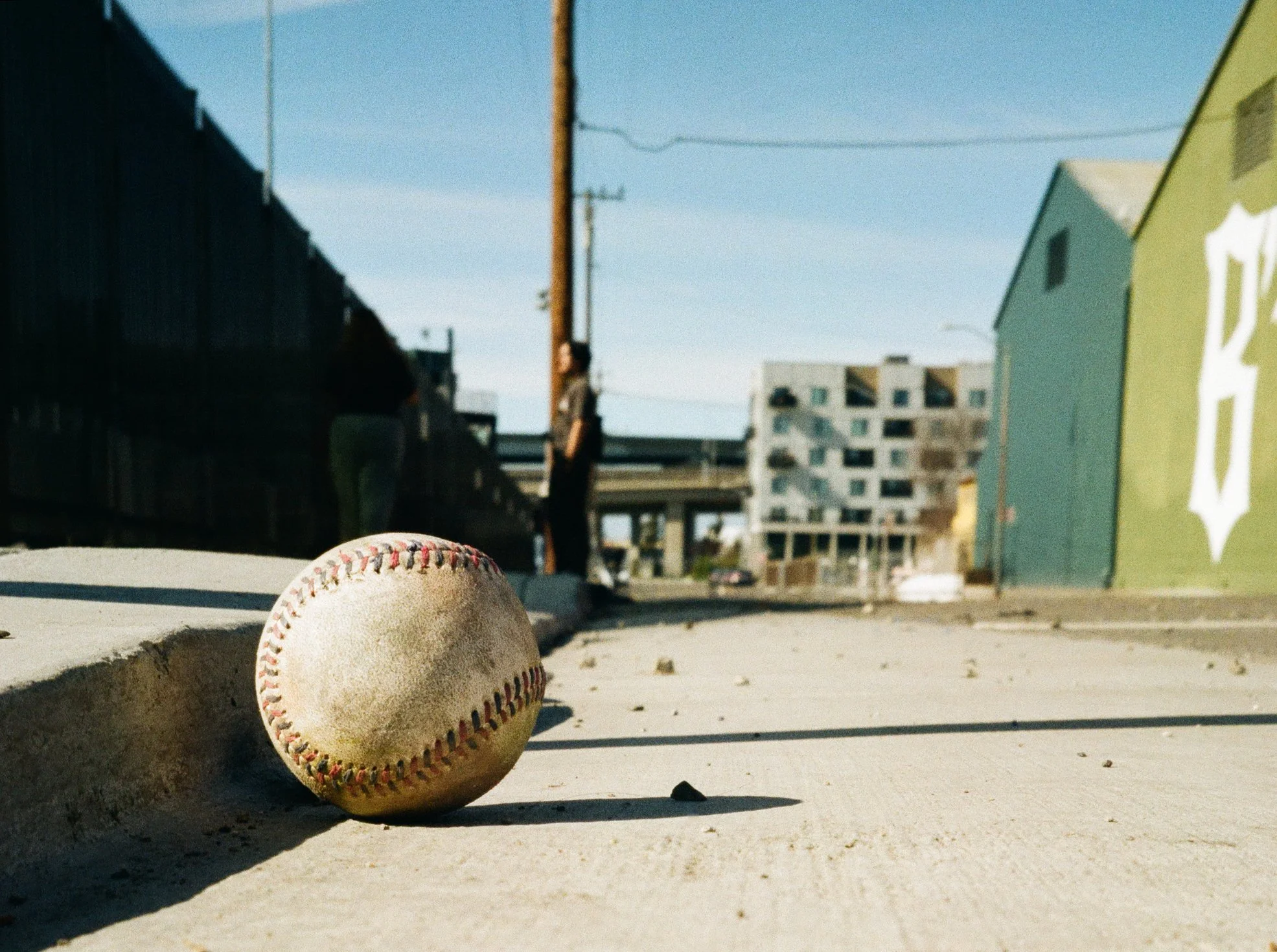 000437000006a - David Bayless.jpg