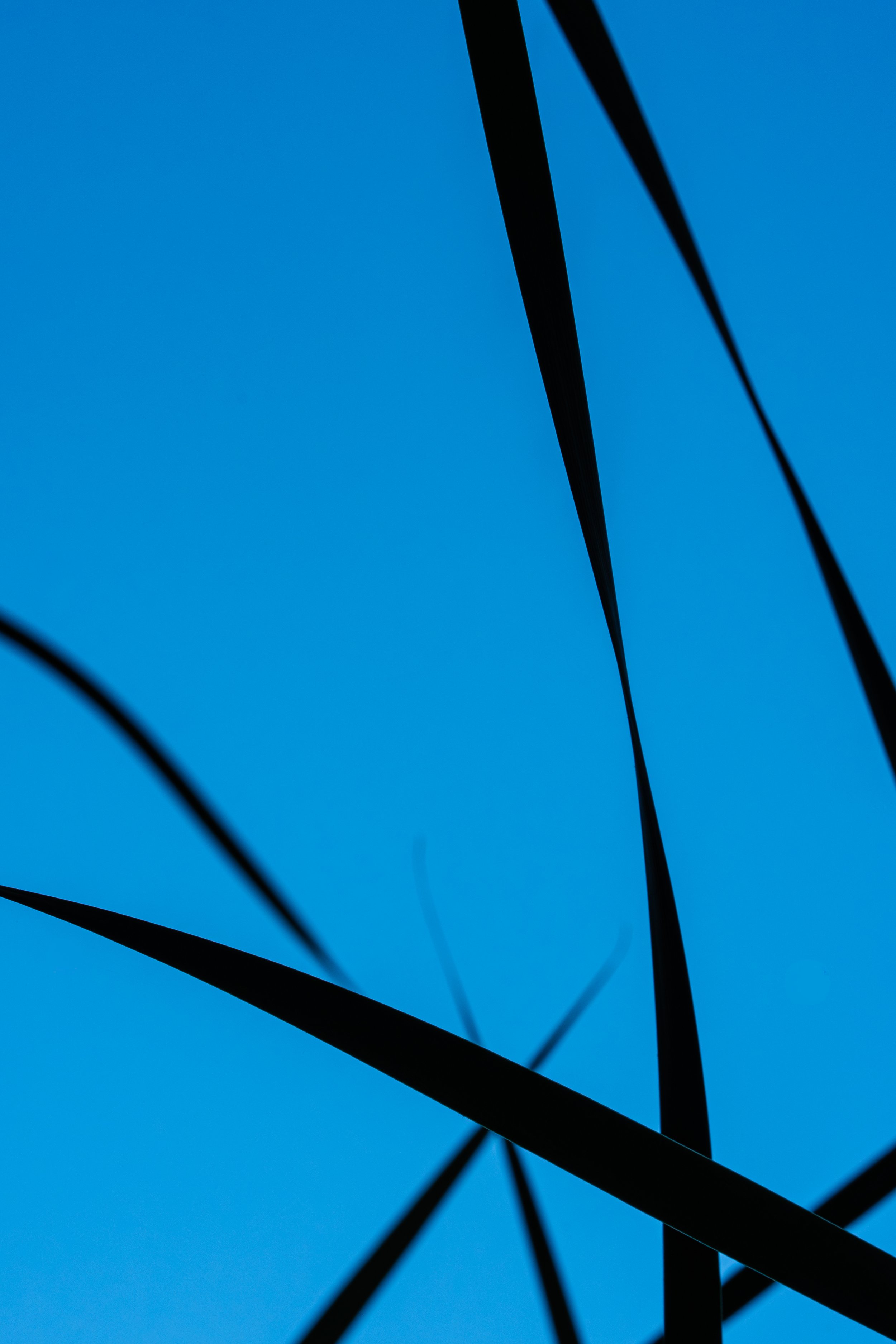 C2102193-LRC-1 - James Fredrickson.jpg