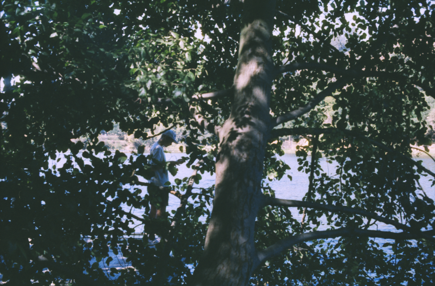 Screenshot_3 - lolaway(1).png