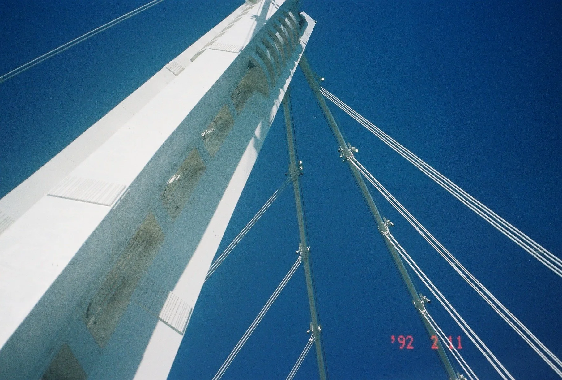 IMG_7616 - Sasha-Mylan Williams.JPG