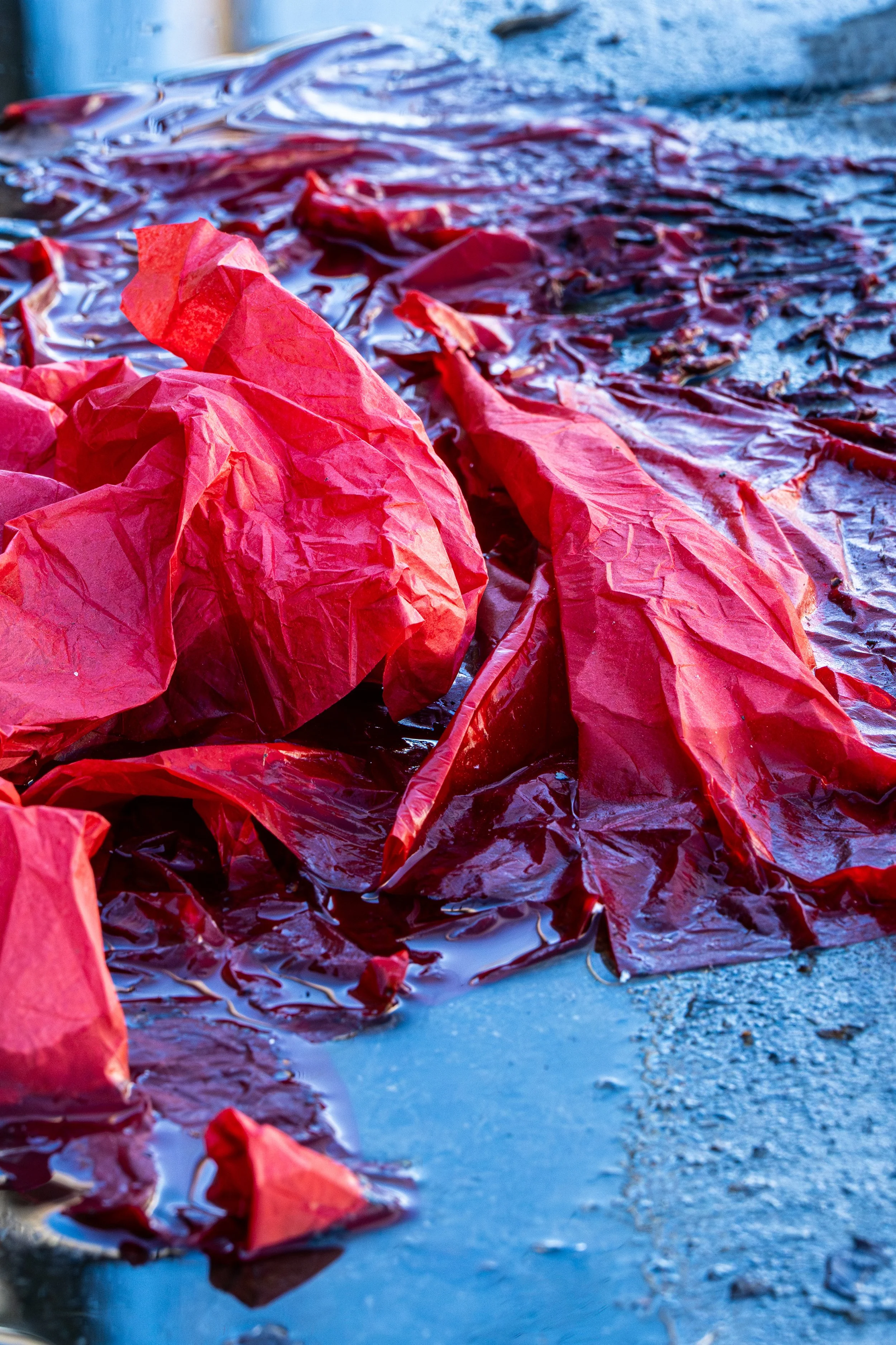 C2109346-LRC P3-1 - 300 dpi - James Fredrickson.jpg