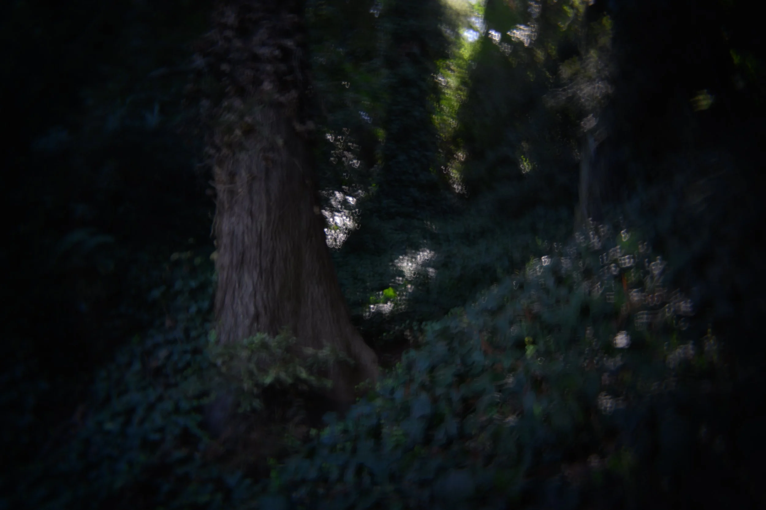 Peterson_Scott_-6113 - Scott Peterson.jpg