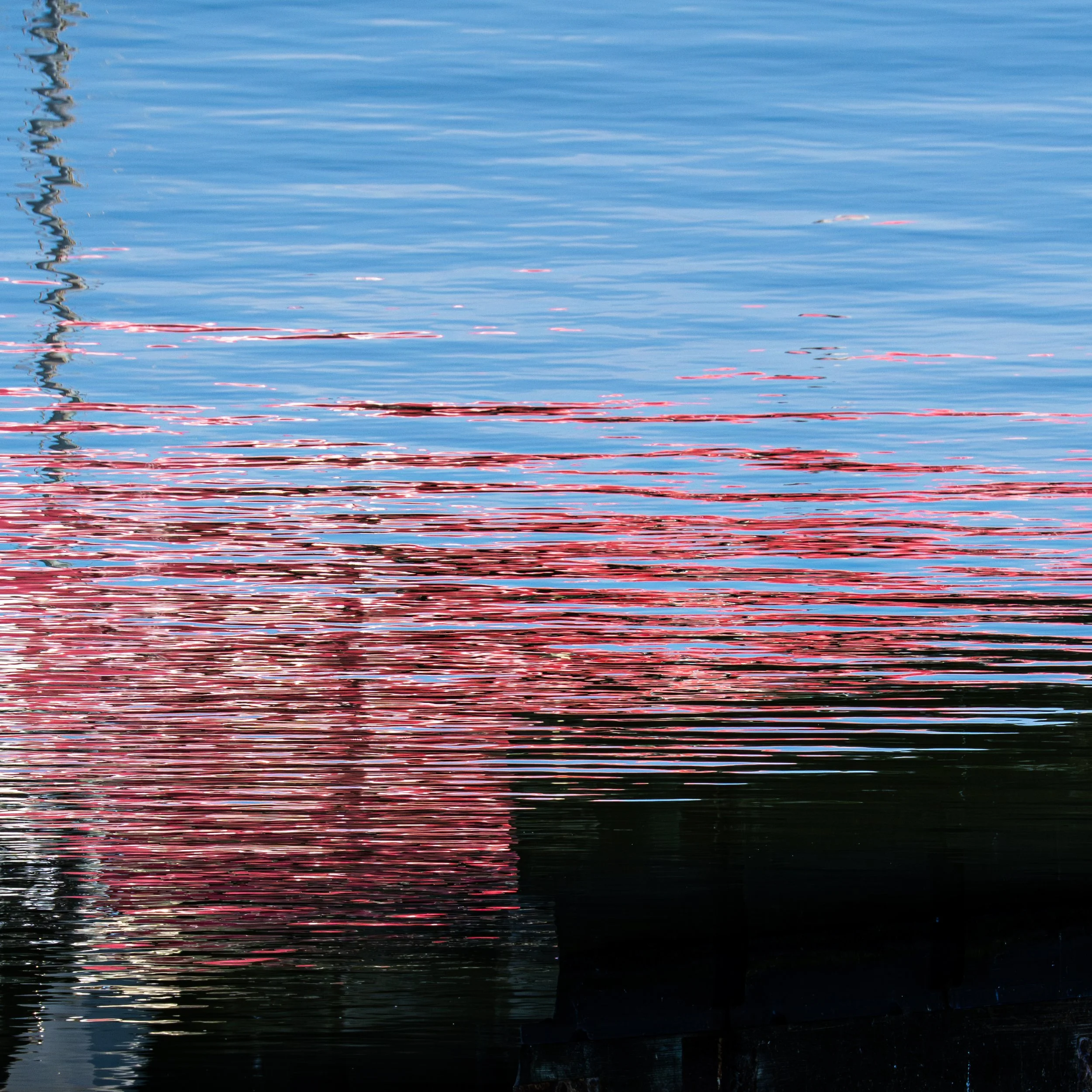 AR_02366-LRC P3-5 - James Fredrickson.jpg