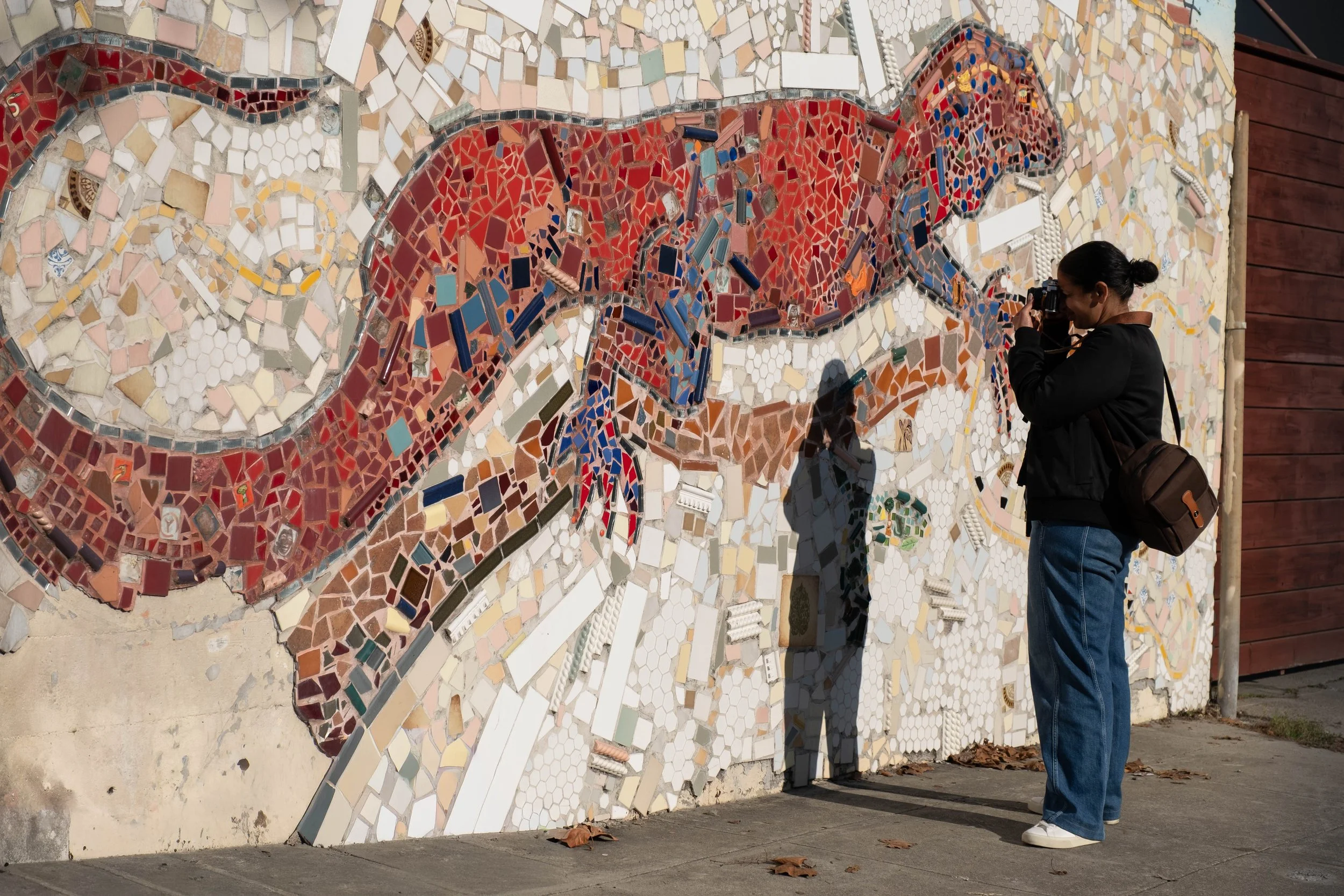 DSCF7312 - Bob Shonkoff.jpg