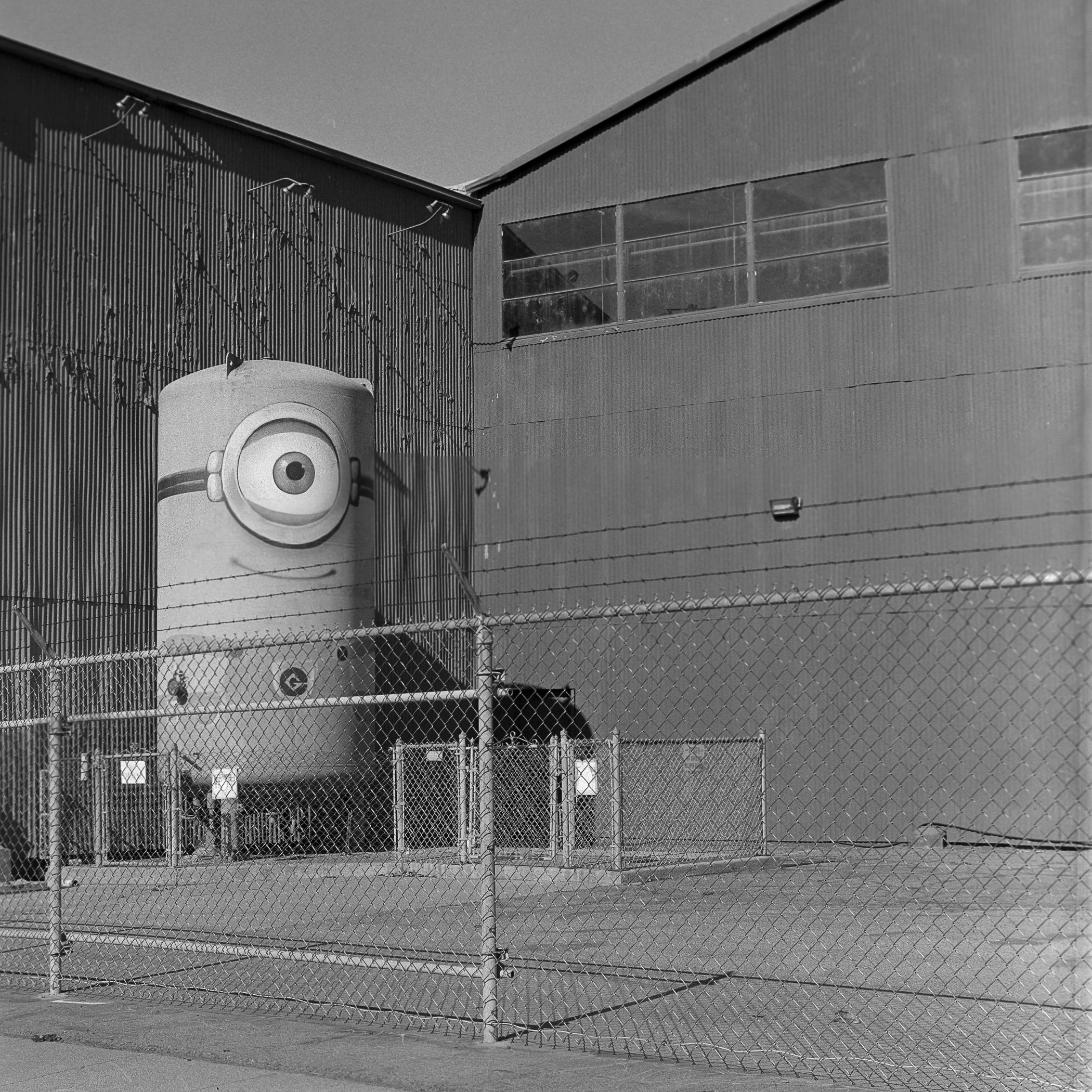 Steve-Baum003 - Steven Baum.jpg