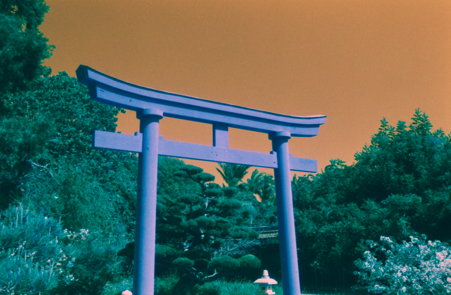 Screenshot_2 - lolaway(3).png