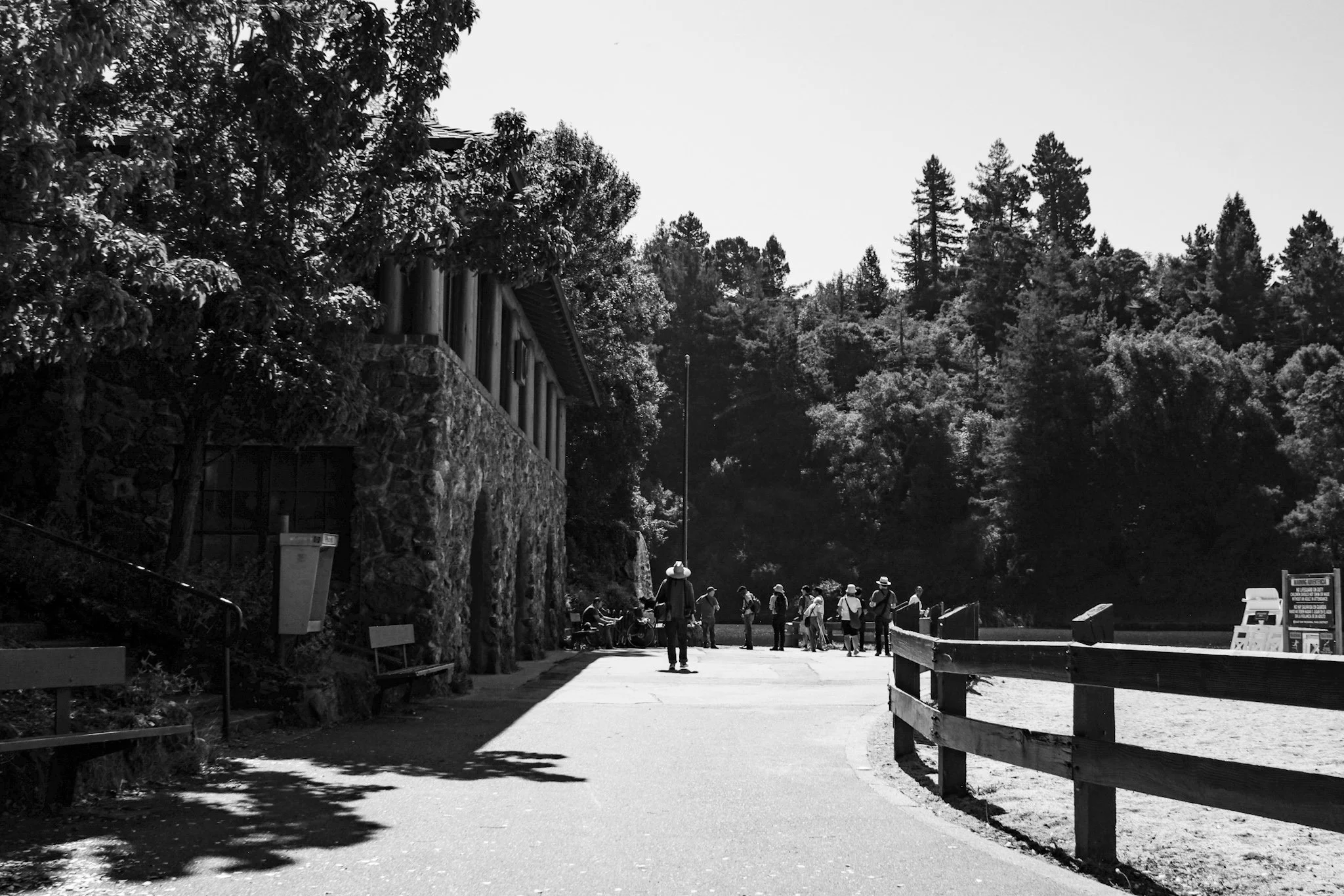 Shared from Lightroom mobile - Carlos Rodriguez(4).jpg