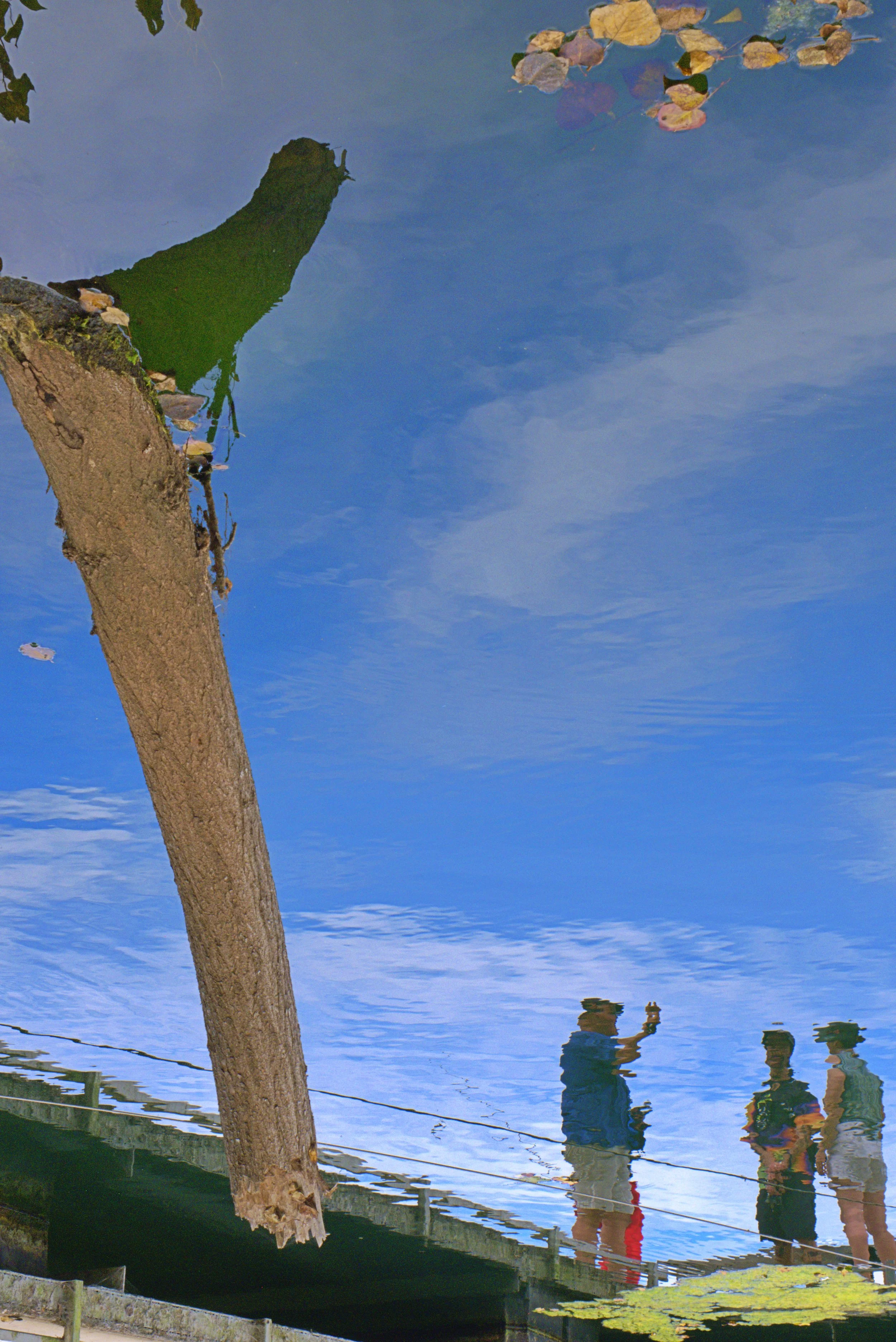 DSCF4612 - rickyyipyip.jpg