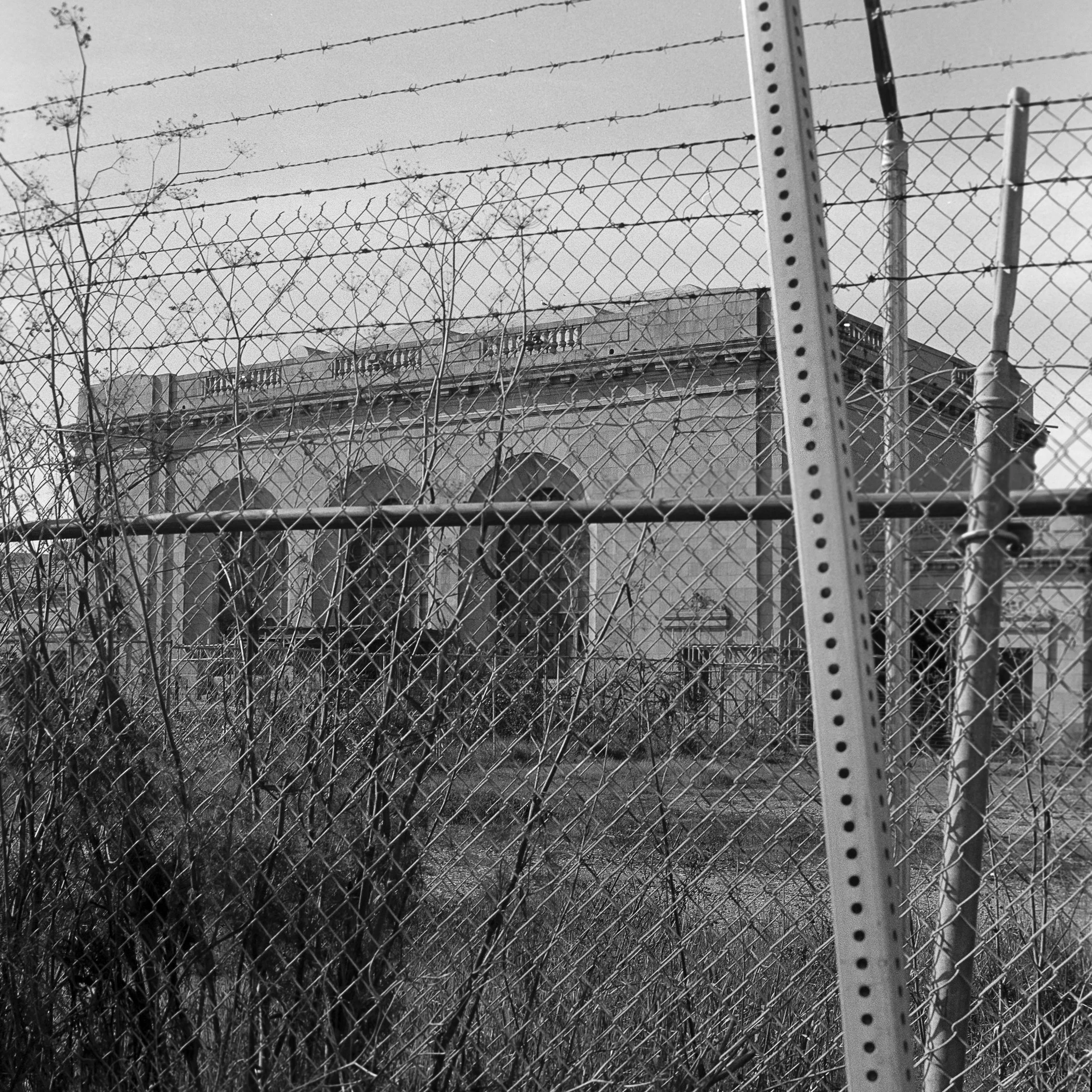 Steve-Baum001 - Steven Baum.jpg