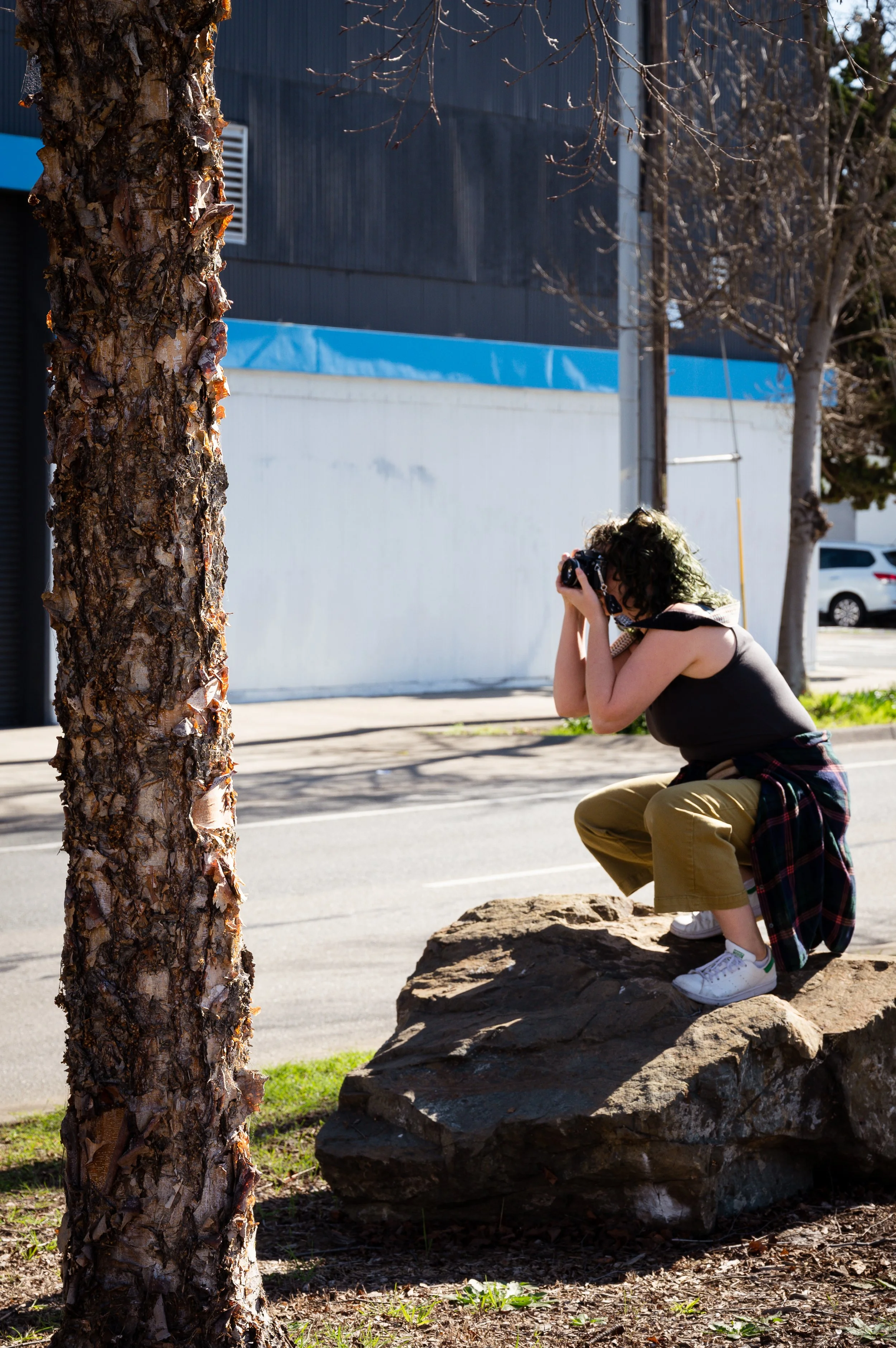 _DSC9396 - Alejandro J Hernandez.jpeg