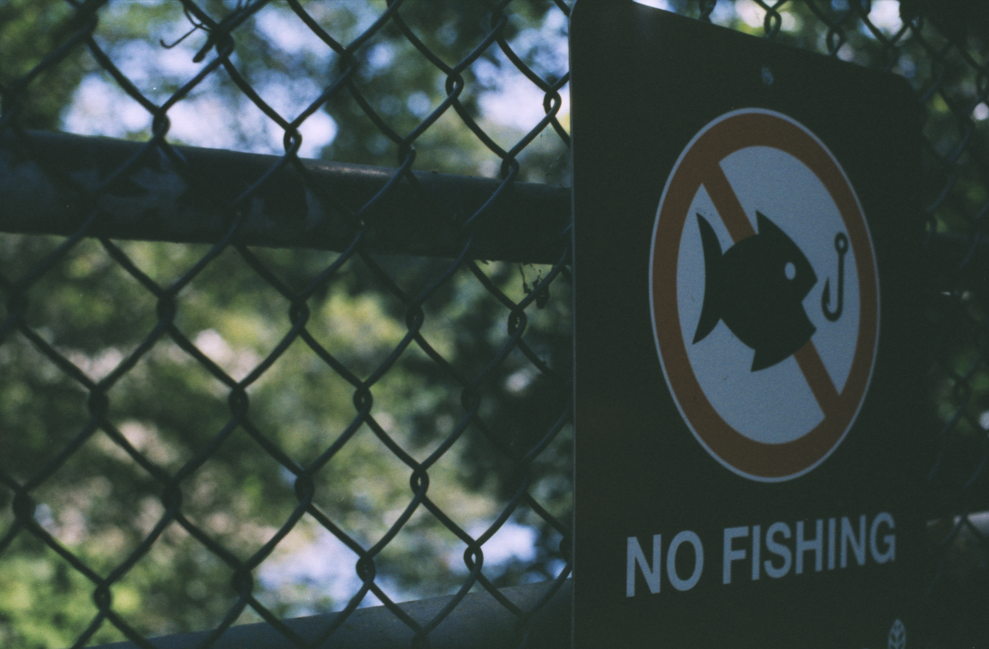 Screenshot_4 - lolaway(2).png