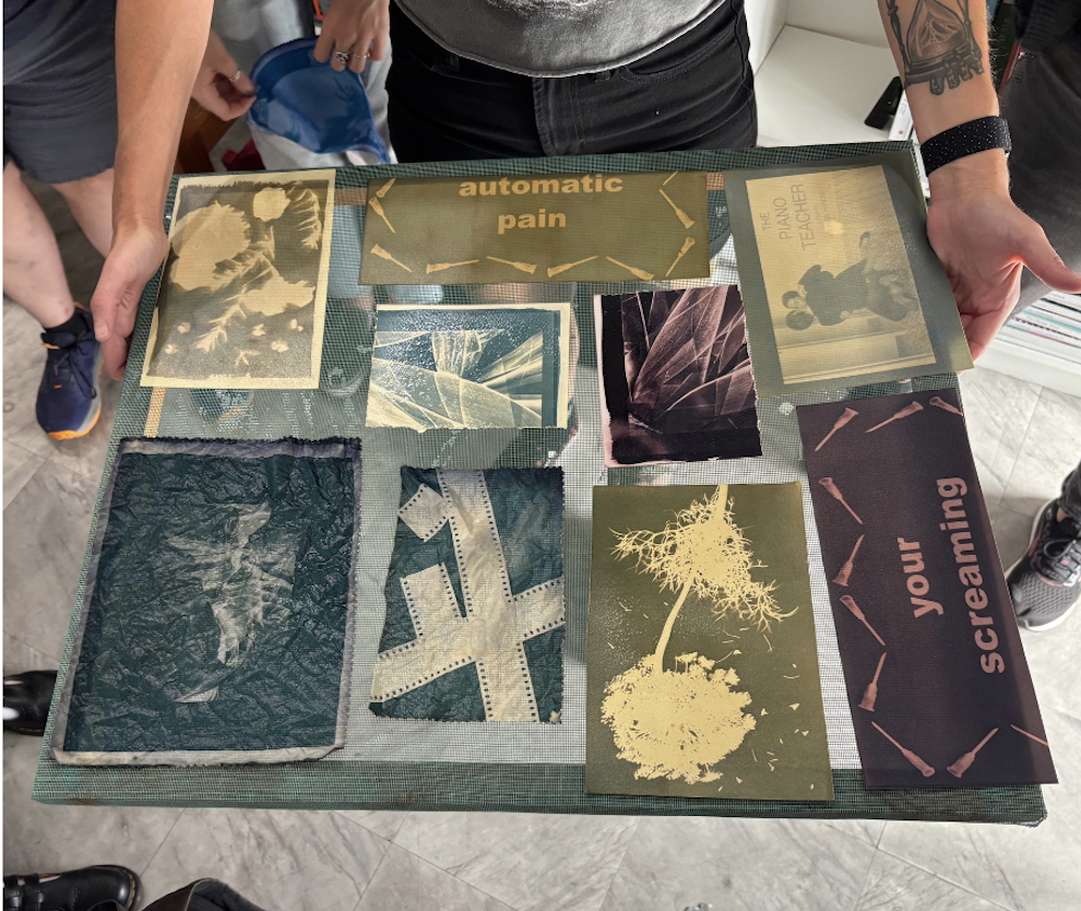 Advanced Cyanotype: Textiles & Botanicals
