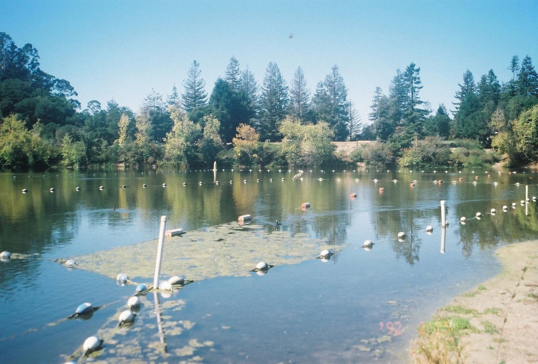 IMG_7600 - Sasha-Mylan Williams.JPG