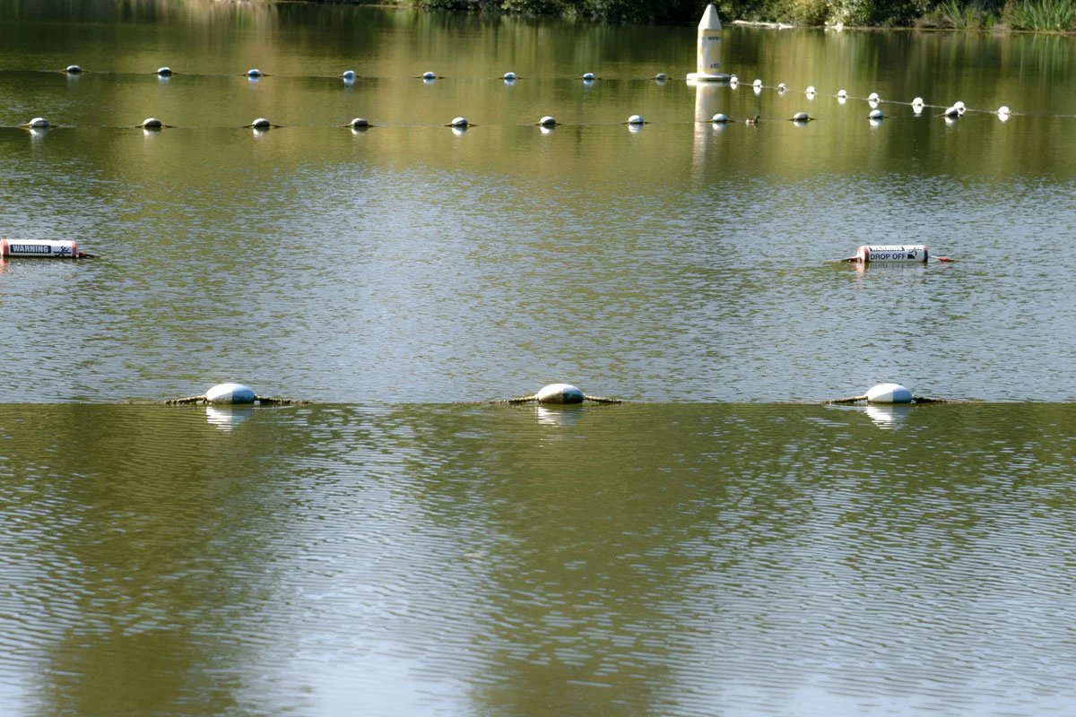 Pavesich_Temescal2 - vida pavesich.jpg