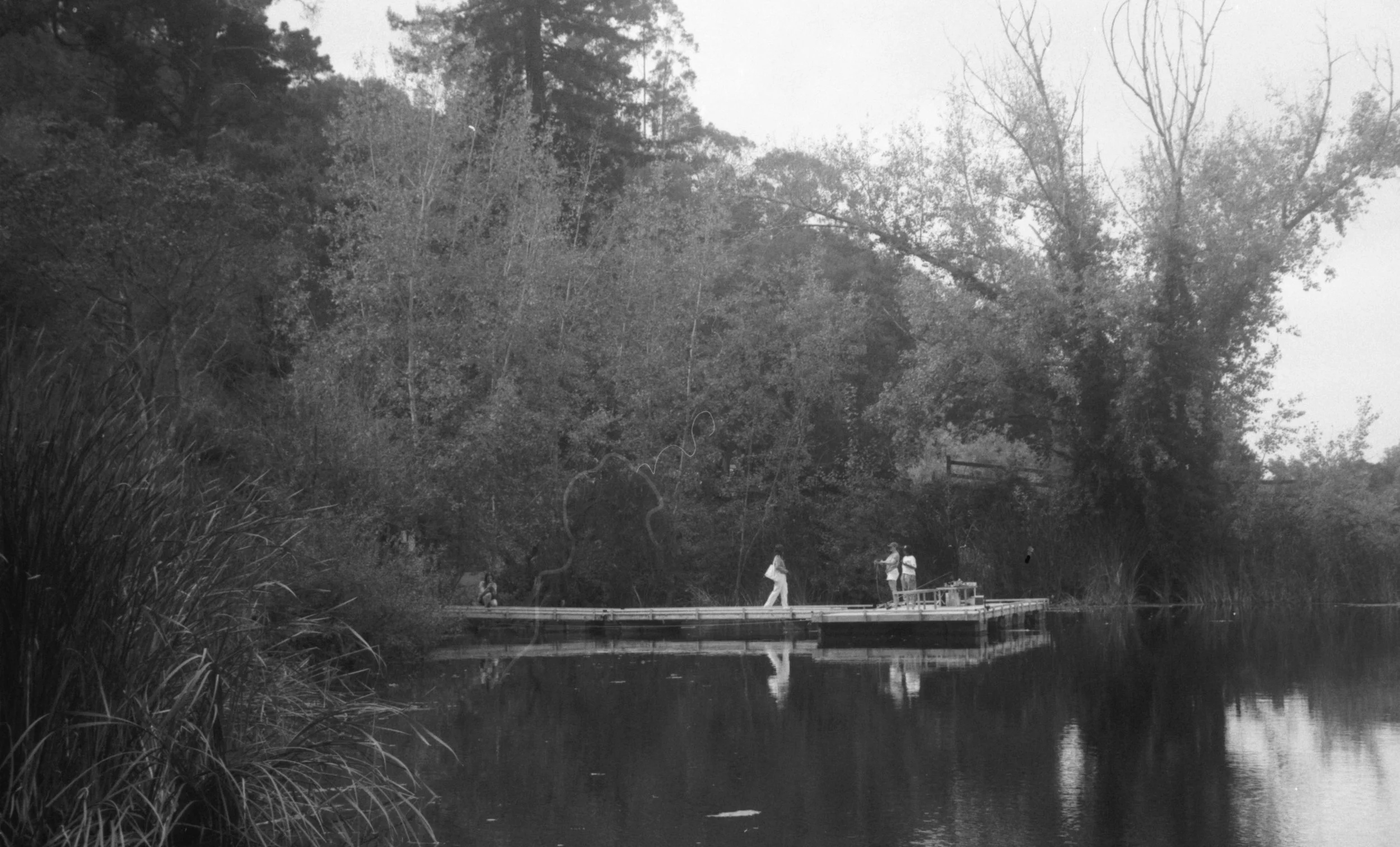 pic_26 - Anwyn Evans.jpg