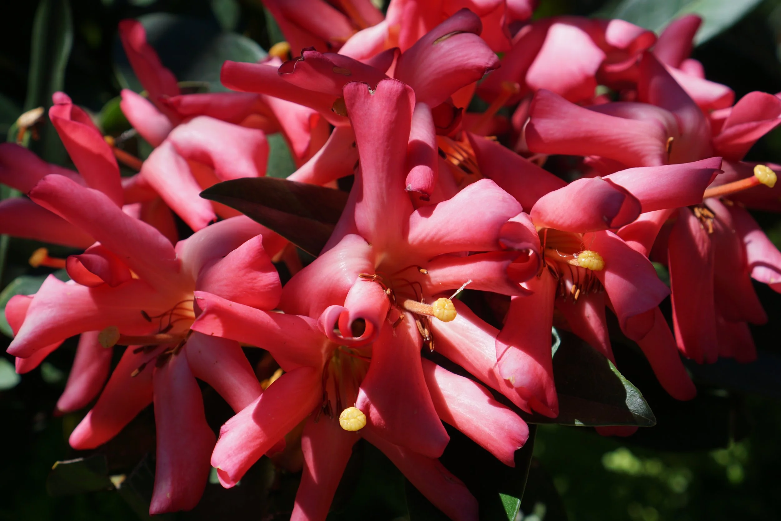 EBH 4.5 5 - Erma Halili.jpeg