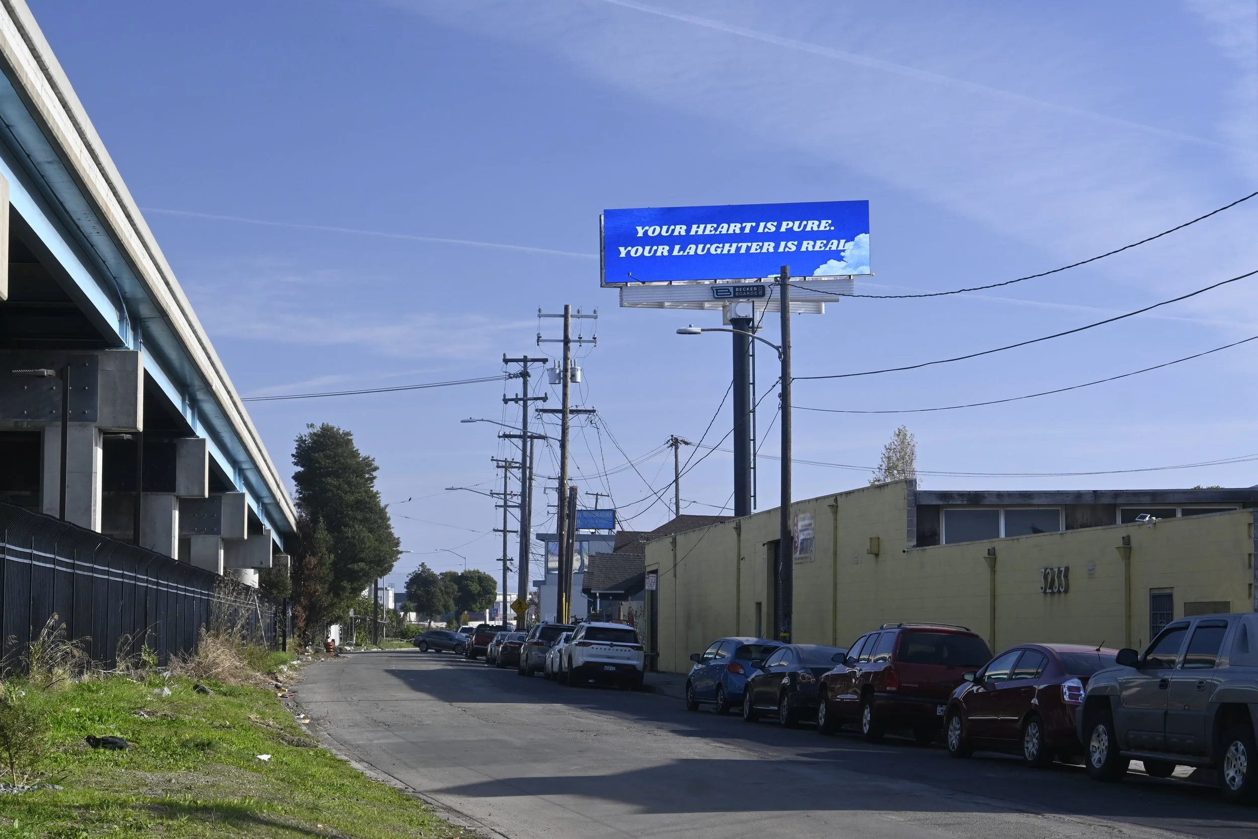 _BEN3478 - Ben Delaney.JPG