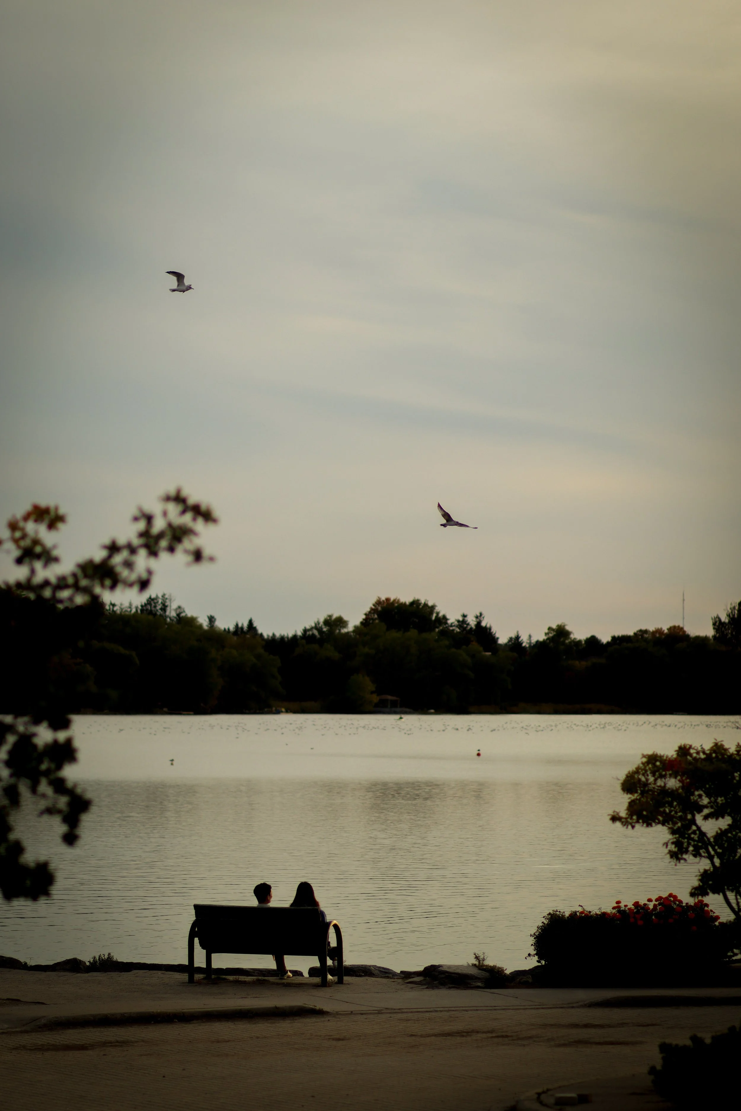 Here we'll stay  | Lake Wilcox