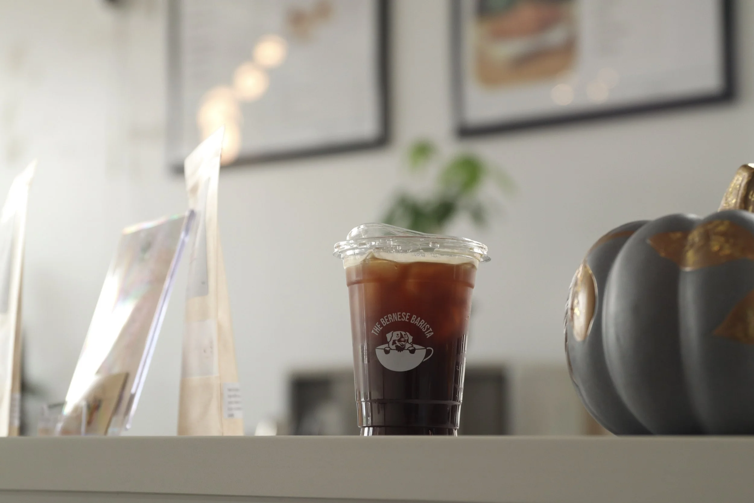 Dog  friendly Cafe,  Bernese  Barista