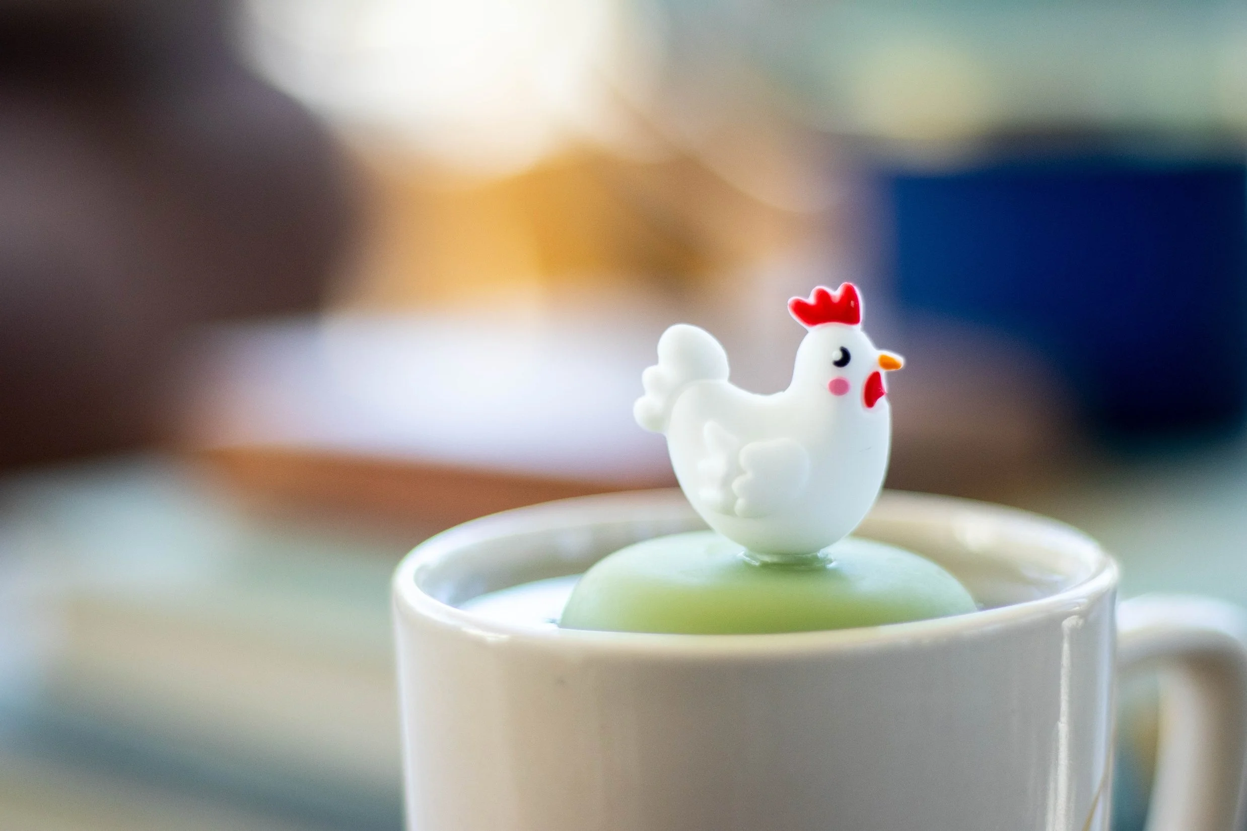 Chicken Infuser.jpeg