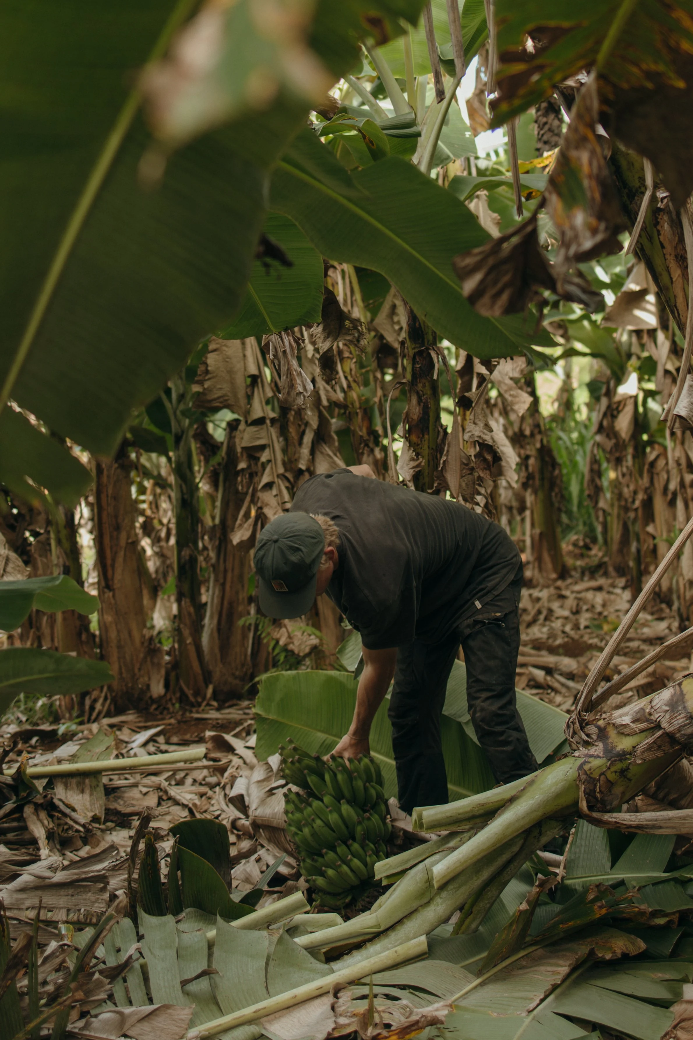 Copy of 087A1712.jpg