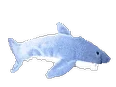 tumblr_45ea6473afe650602a733306af6c0b90_8523d49a_250.webp