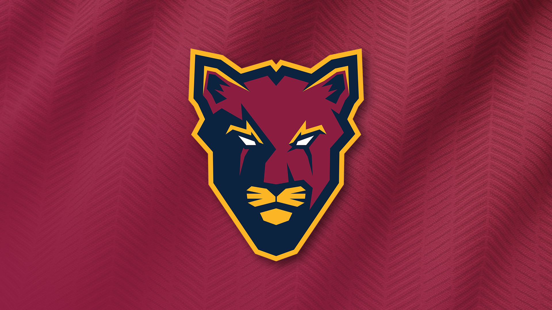 Cougars Pop-Up Store&nbsp;&amp; New Circle Range Now Available