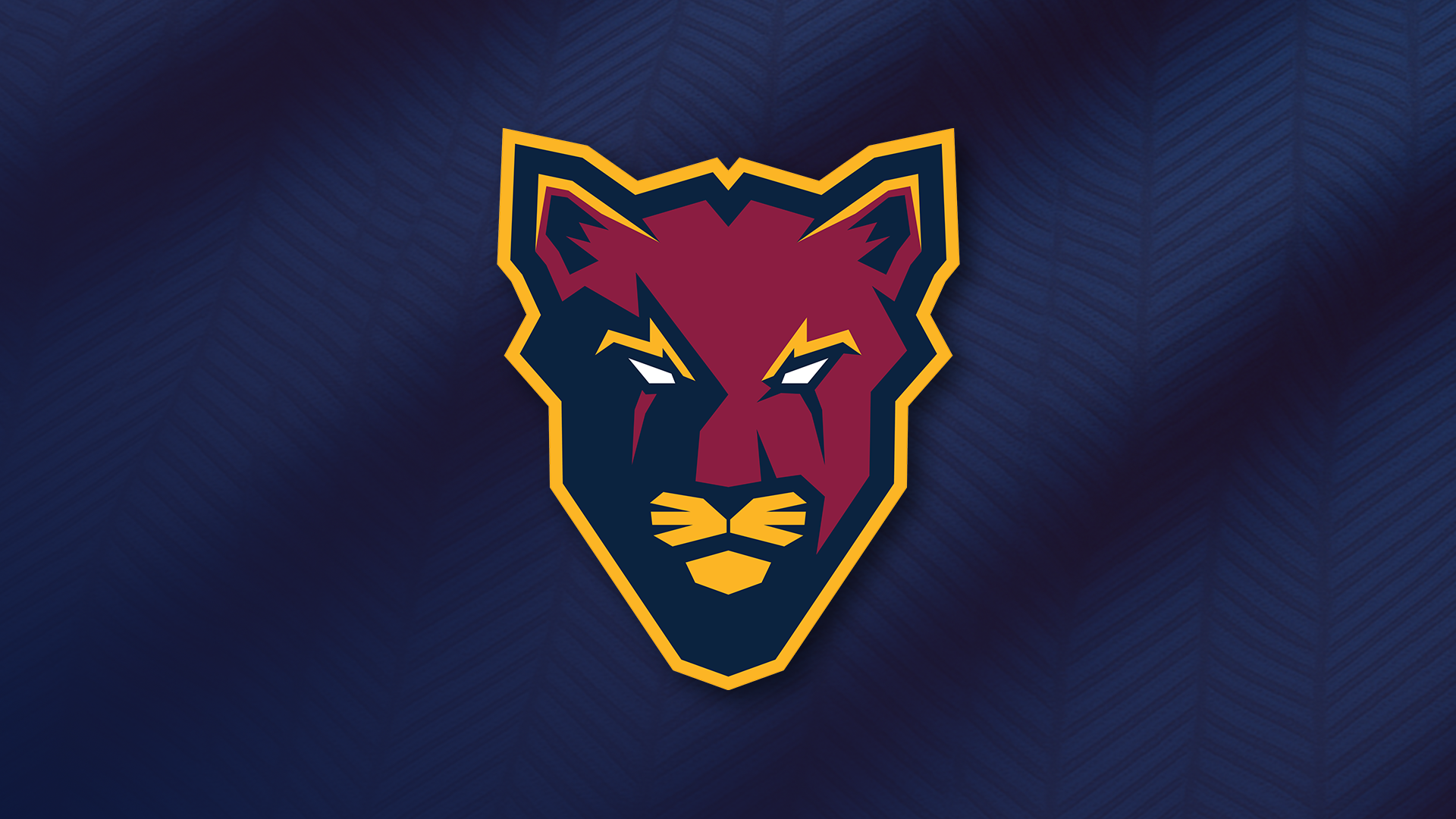 Employment Opportunities: McKinnon Cougars BigV Home Game Day Roles