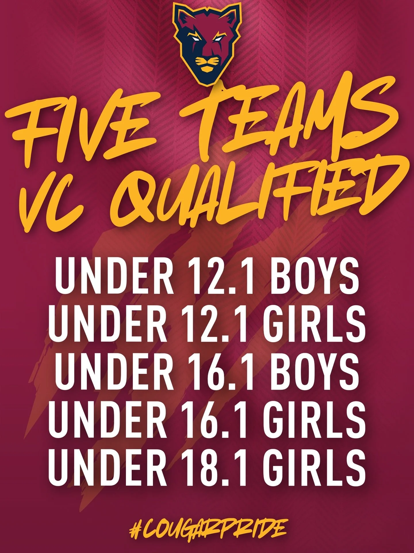 👏 Congratulations to our 5 Victorian Championship qualified teams. The VJBL&rsquo;s VC 2026 regular season starts Friday 6th March.

📱 You can also find all the Junior Cougars fixtures on PlayHQ

#CougarPride&nbsp;🐾