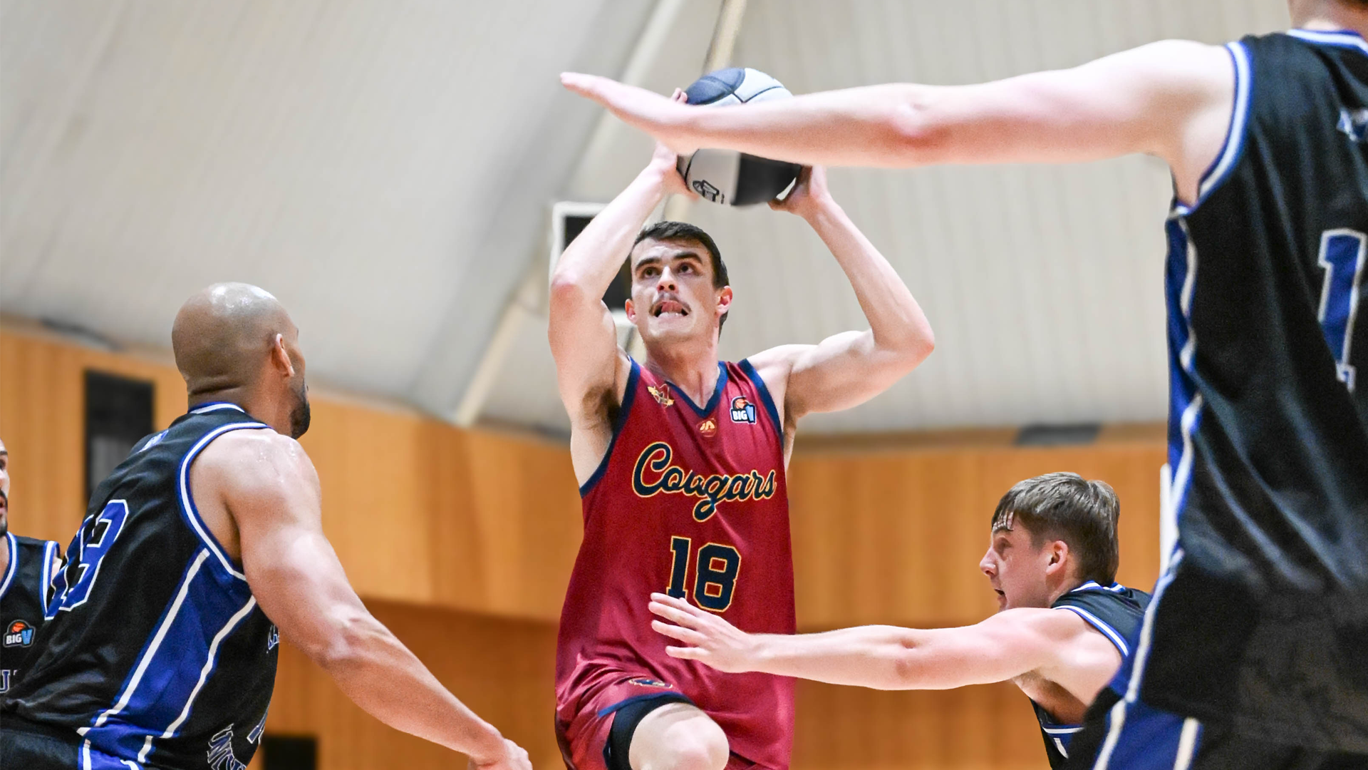 Cougars Split Results as Championship Season Tips Off