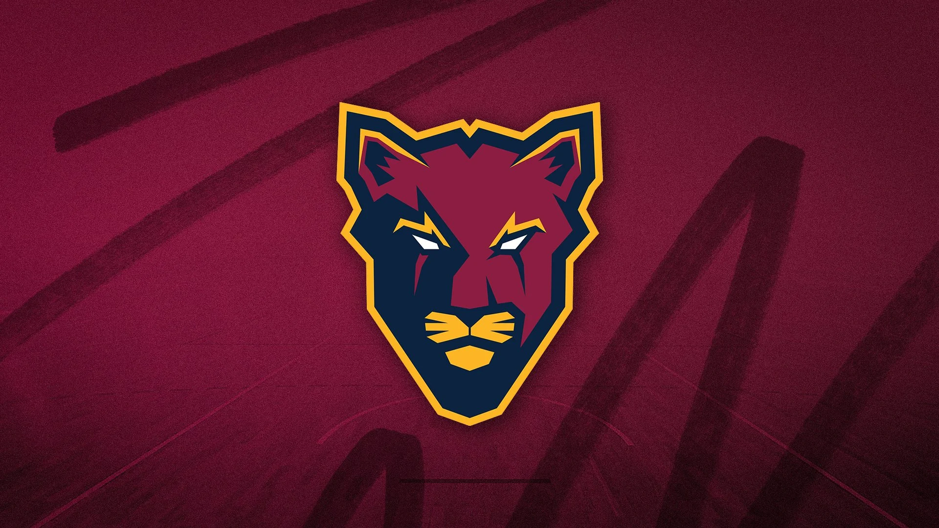 Cougars Tryouts: What You Need to Know