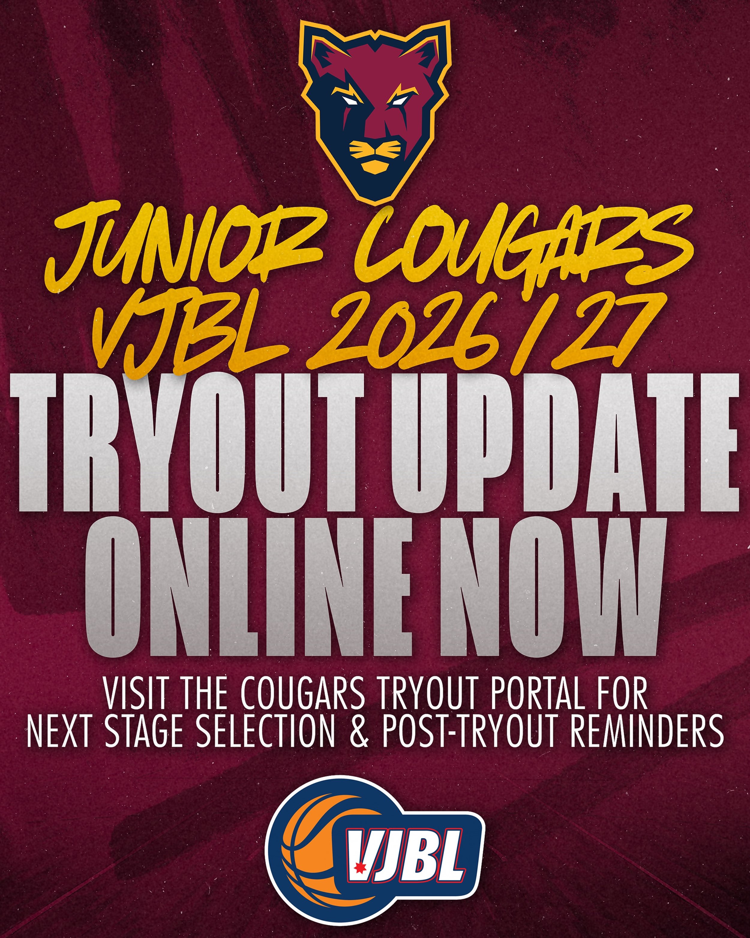 🏀 McKinnon Cougars Tryout Selection Update

Selection outcomes for progression to the next Boys and Girls tryout sessions are now available.

Please visit the MBA website to check the relevant age group list and read the full update, including next 