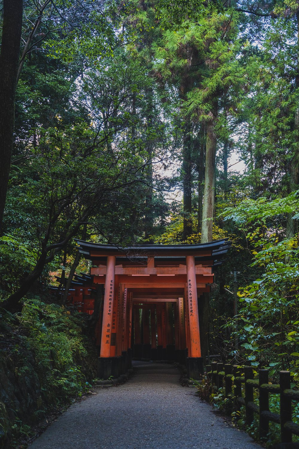 Fushimi Inari Kyoto