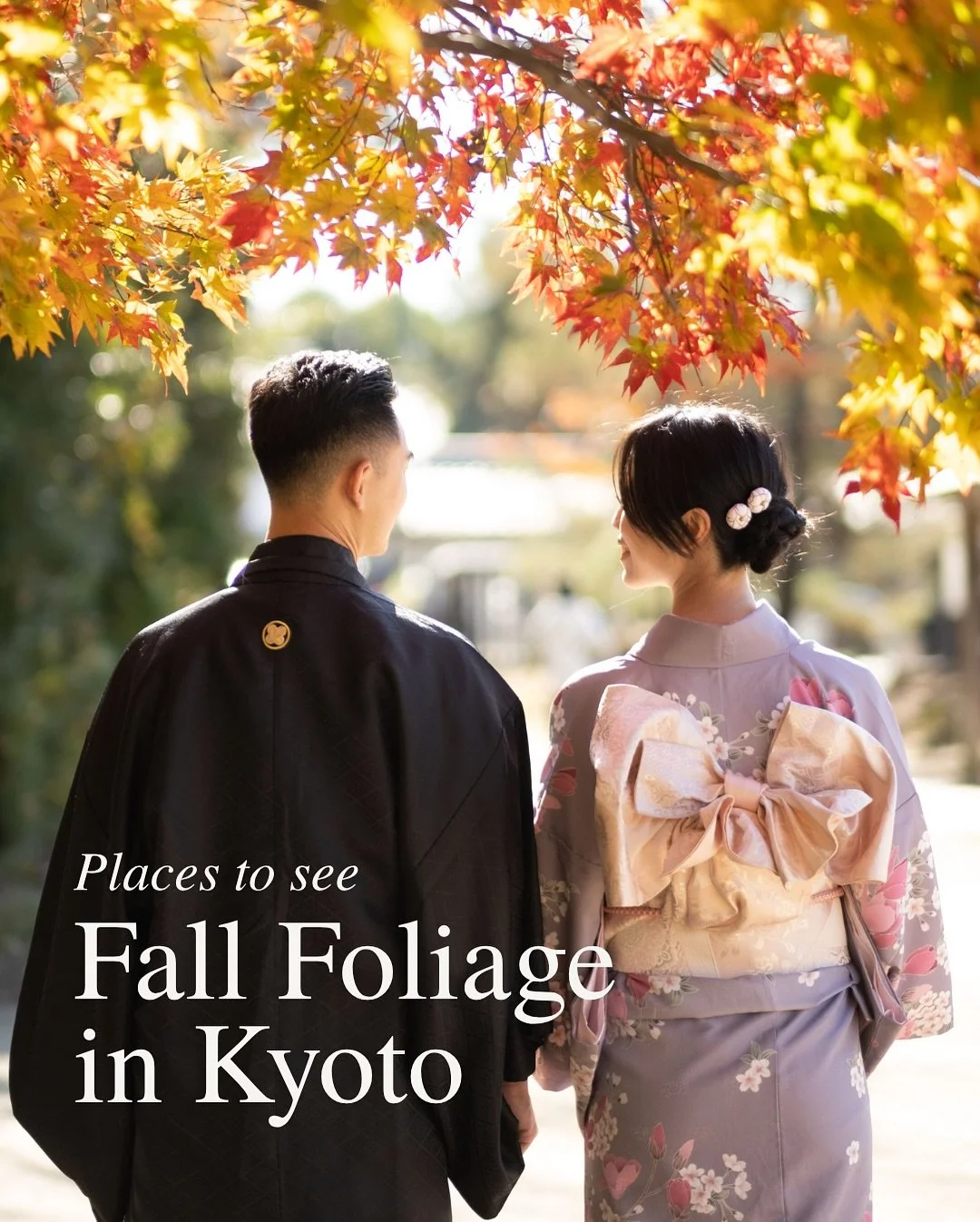 November is our favorite time to visit Japan, and Kyoto never disappoints during fall foliage. We always seem to catch the tail end, but this year's cooler weather might mean the peak hits late November to early December!