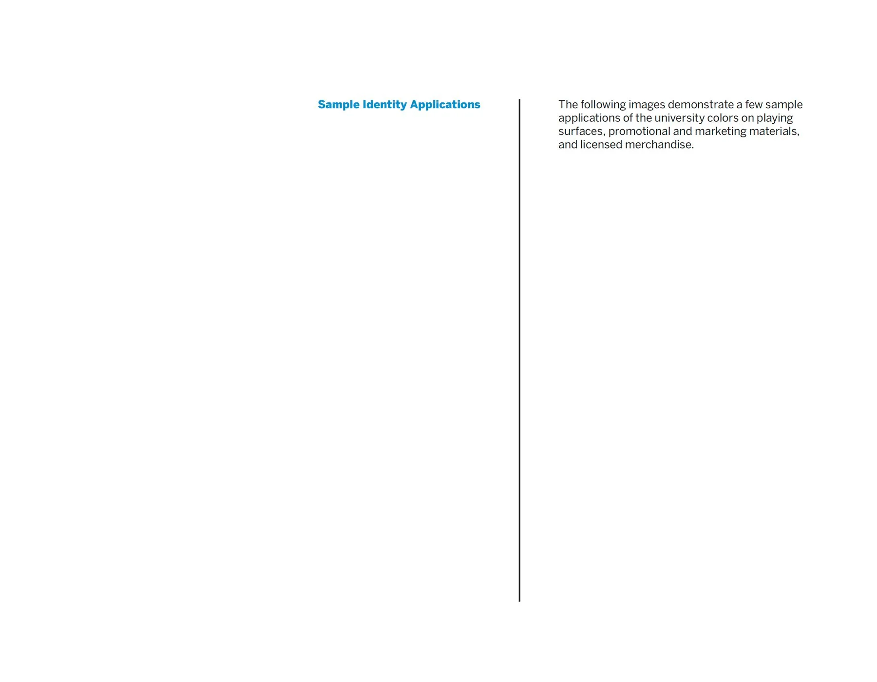 Big-Ten-Identity-Guidelines35.jpg