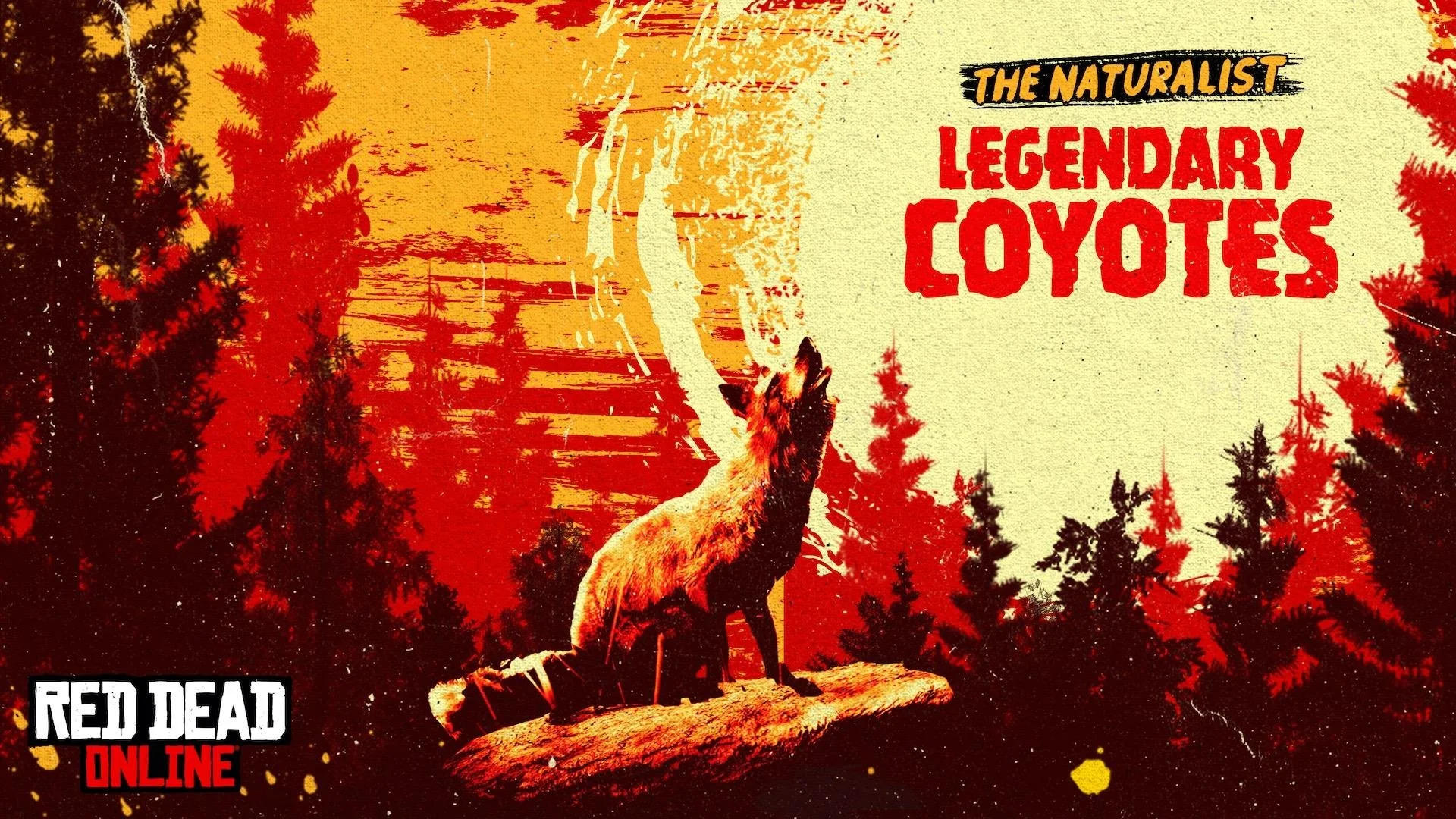 coyotes.jpg
