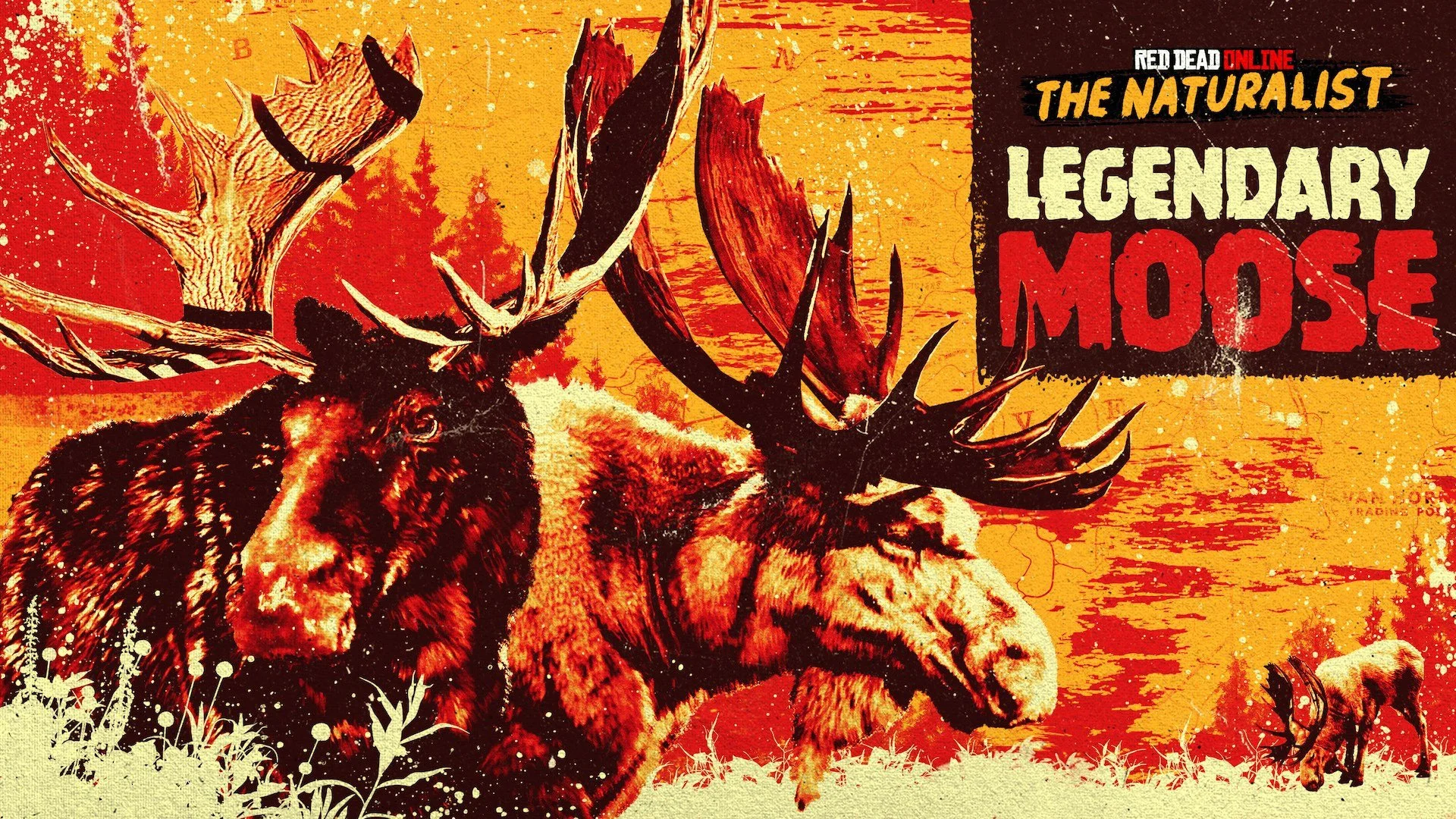moose.jpg