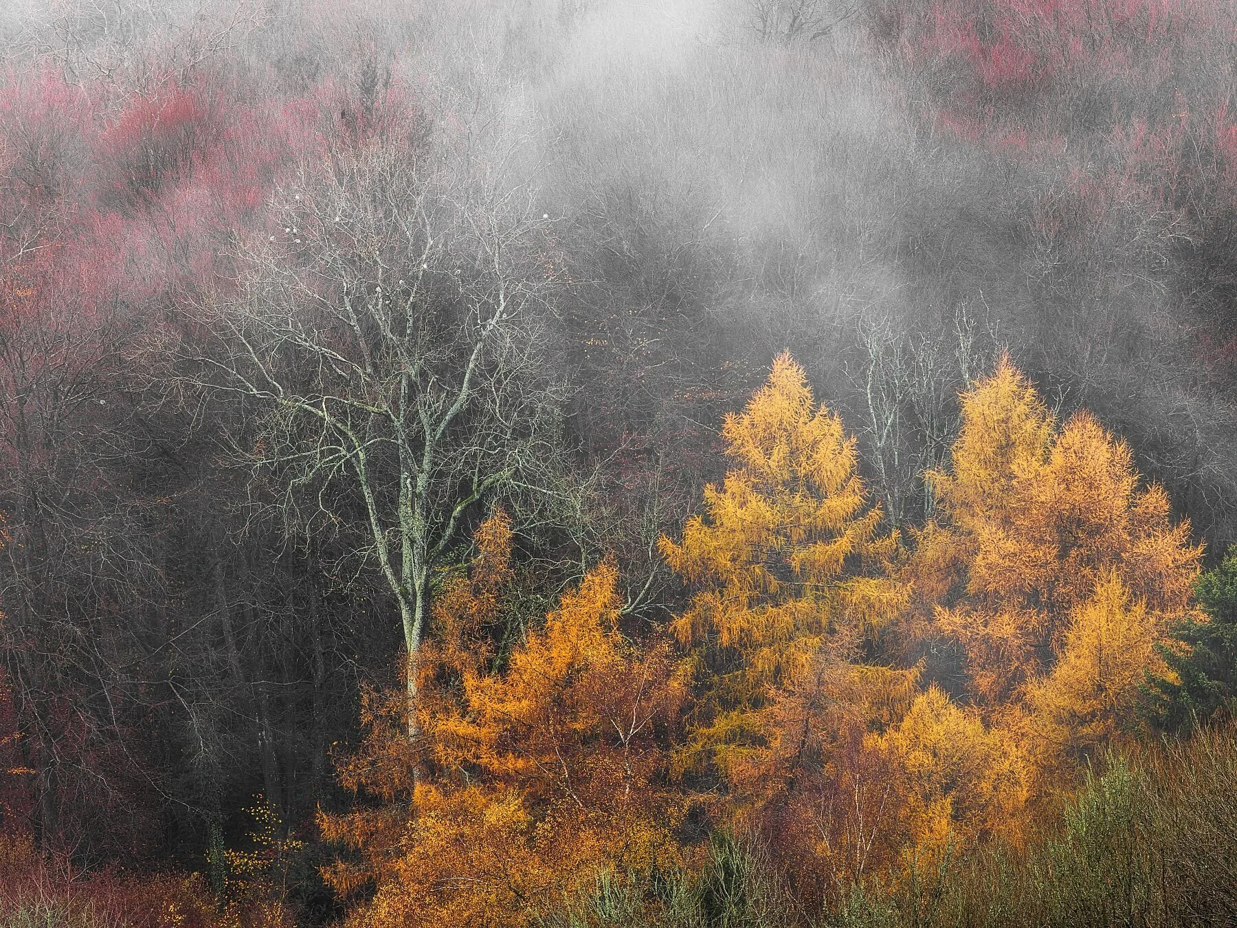 Fog In The Cotswold Hills