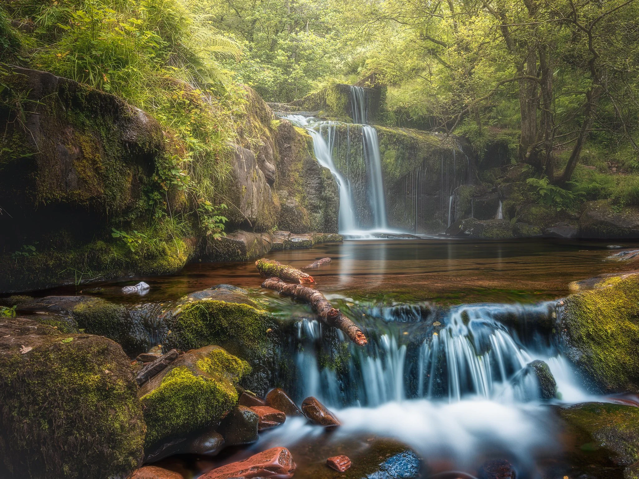 A serene forest scene with a small cascading waterfall flowing over moss-covered rocks into a calm creek, surrounded by lush green trees and vegetation.