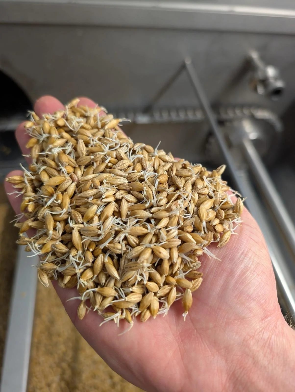 WhatsApp Image 2025-11-13 at 11.25.12-2.jpeg