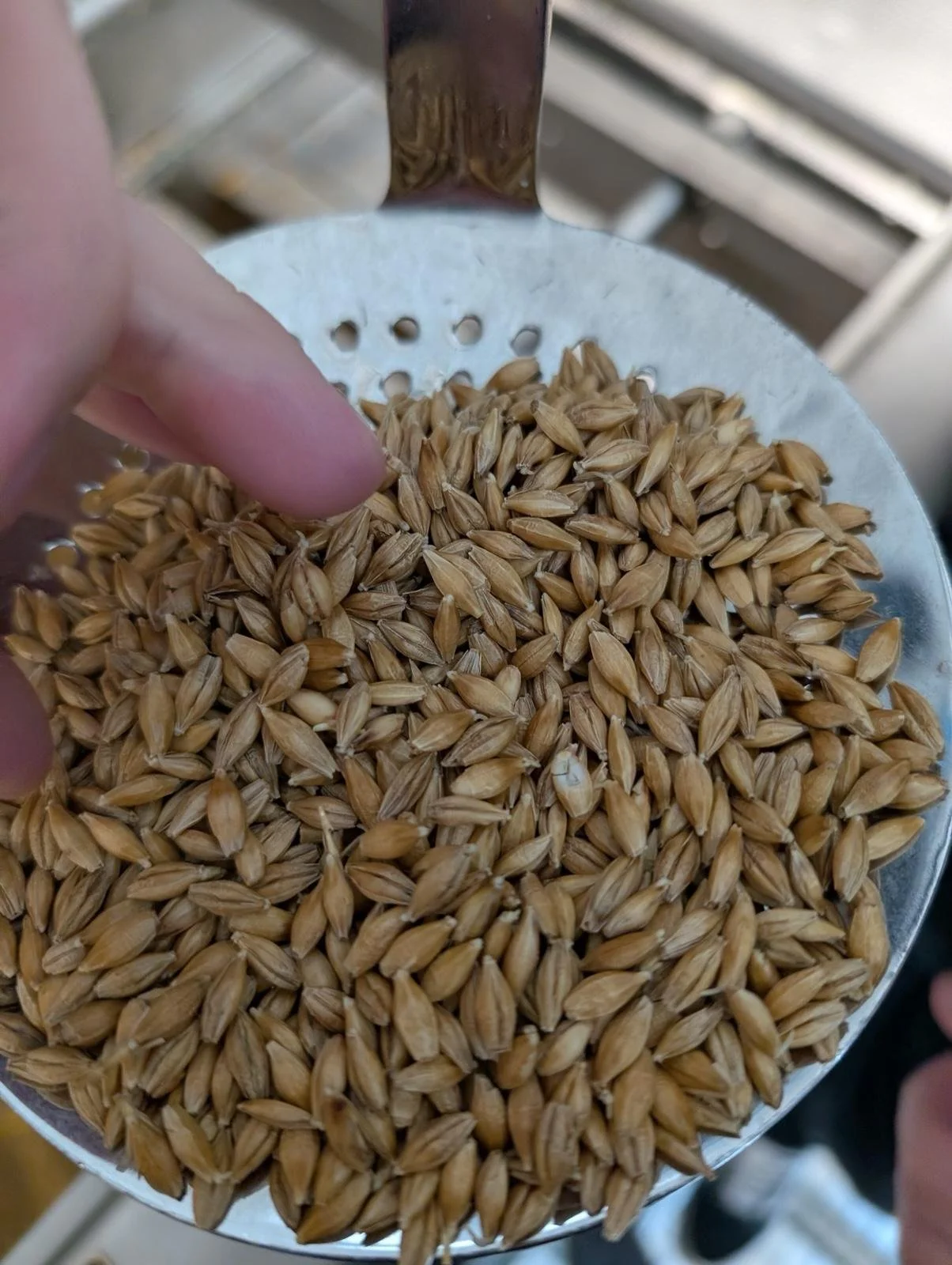 WhatsApp Image 2025-11-13 at 11.25.12.jpeg