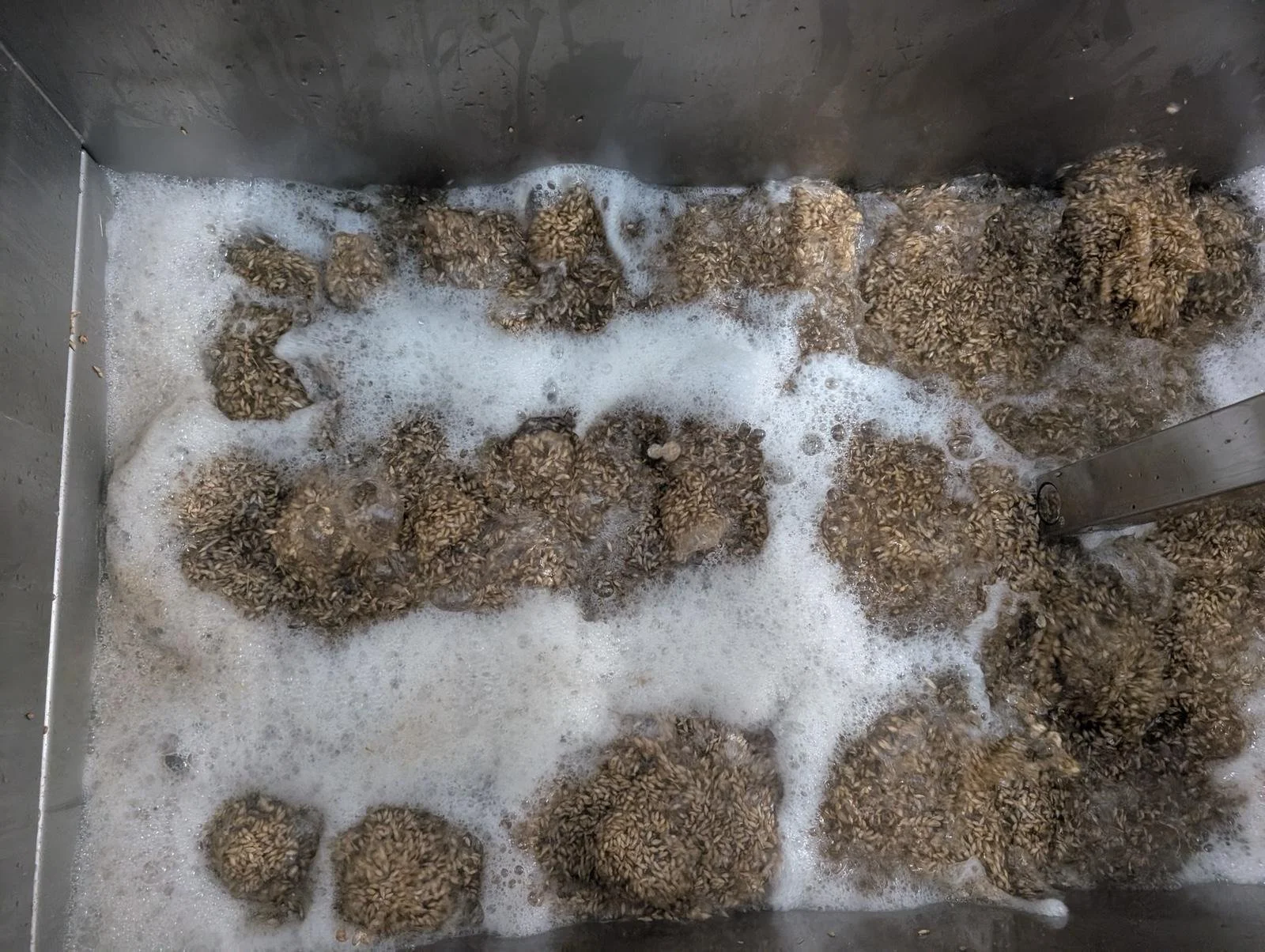 WhatsApp Image 2025-11-13 at 11.25.11-2.jpeg